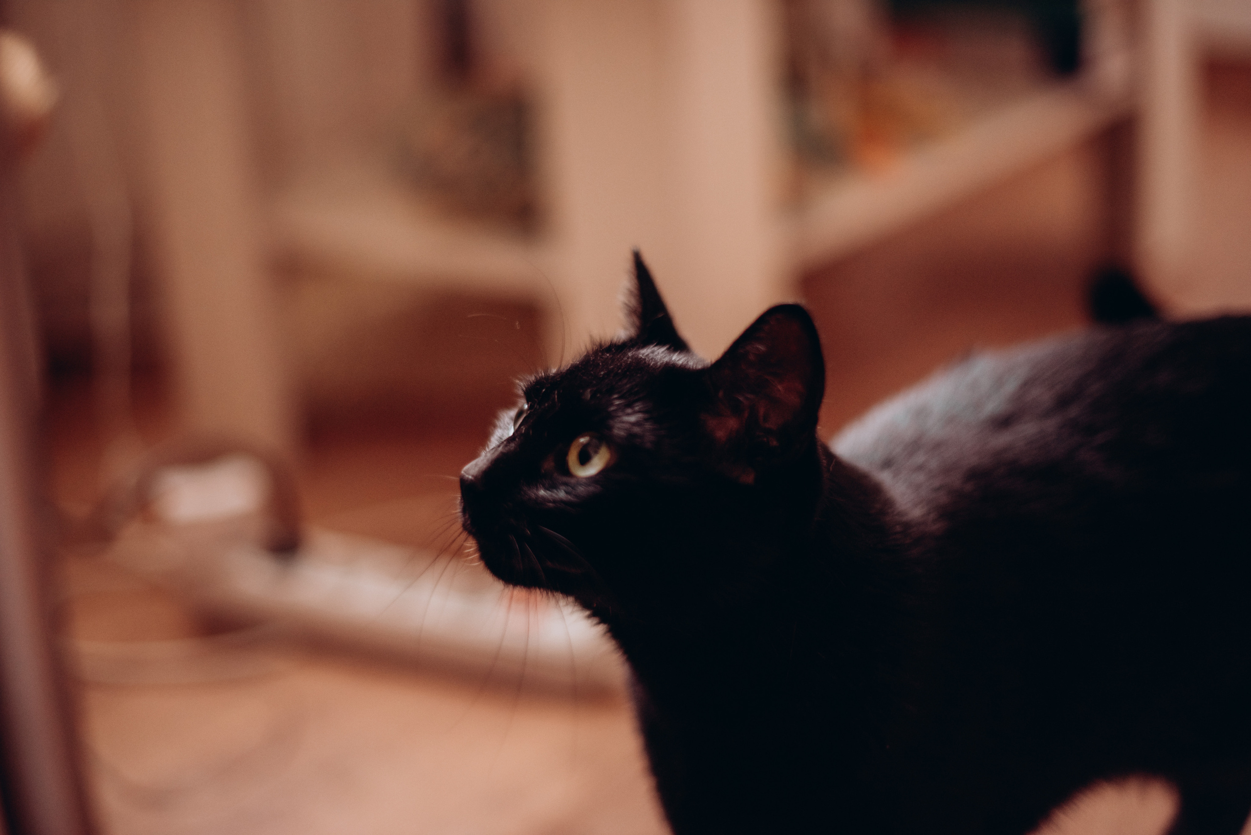 Наташа Илюша Андрей. Детский и семейный фотограф в Москве