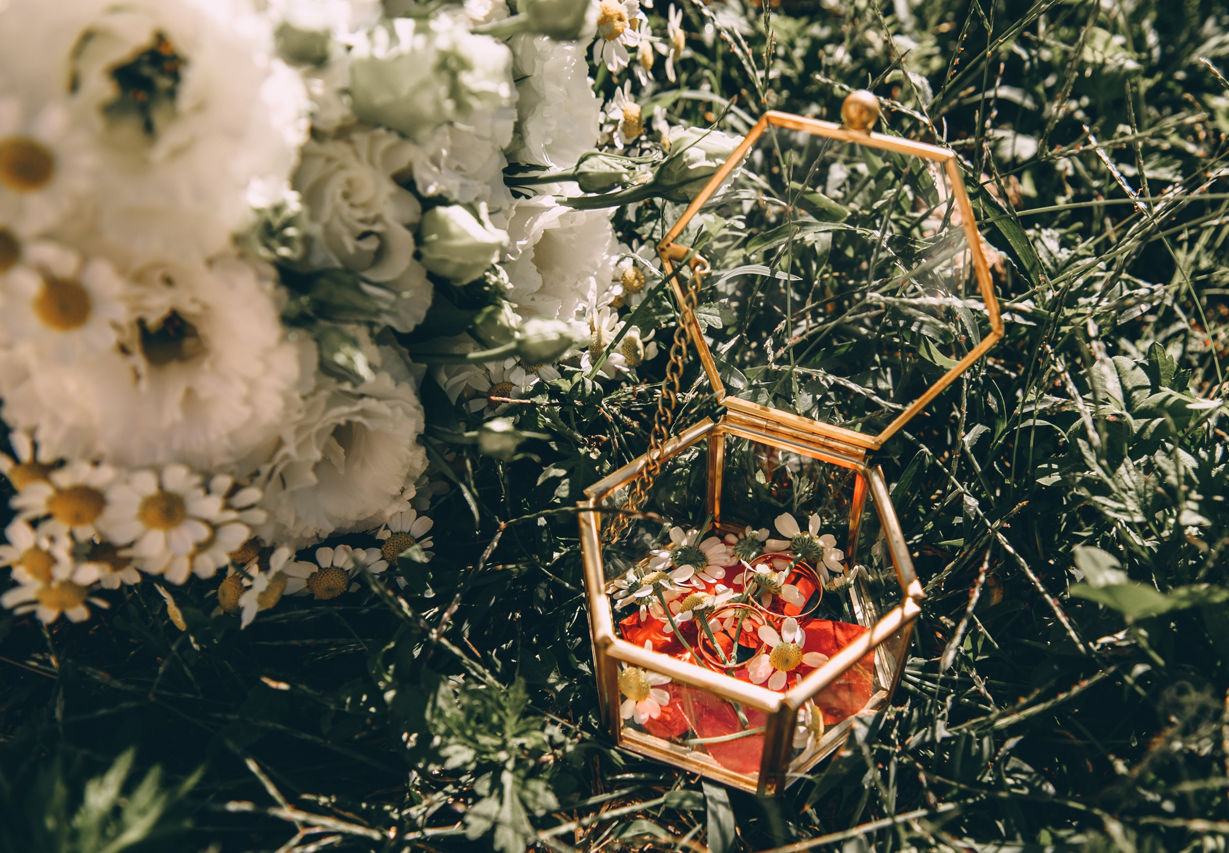 Адлер, море, Мандарин. Свадебный и семейный фотограф София Невская