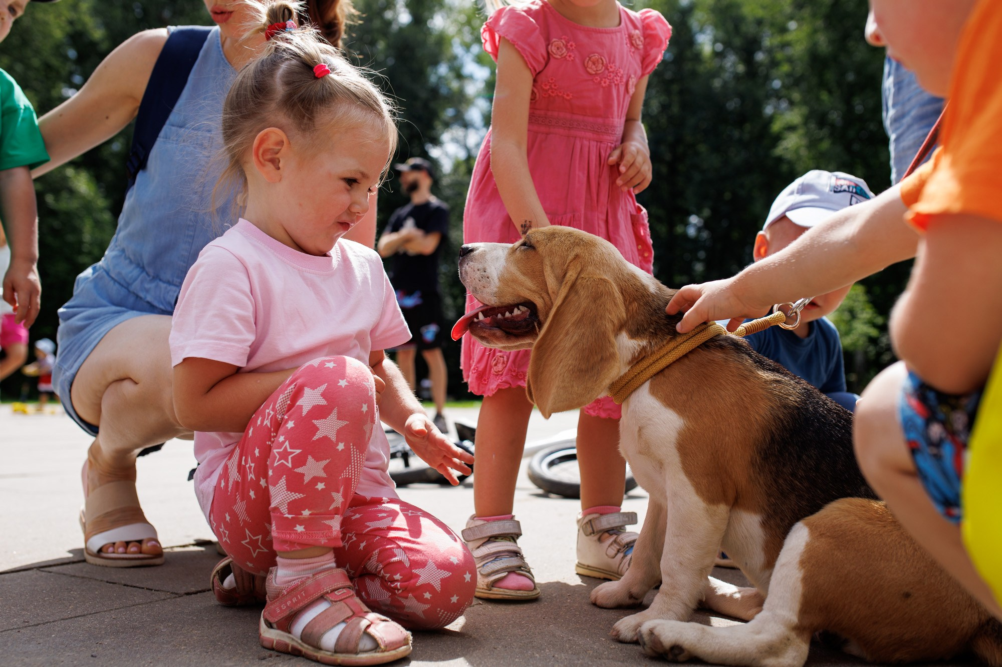 Соловьиное лето 2024. Спортивный фотограф Вадим Добедченков