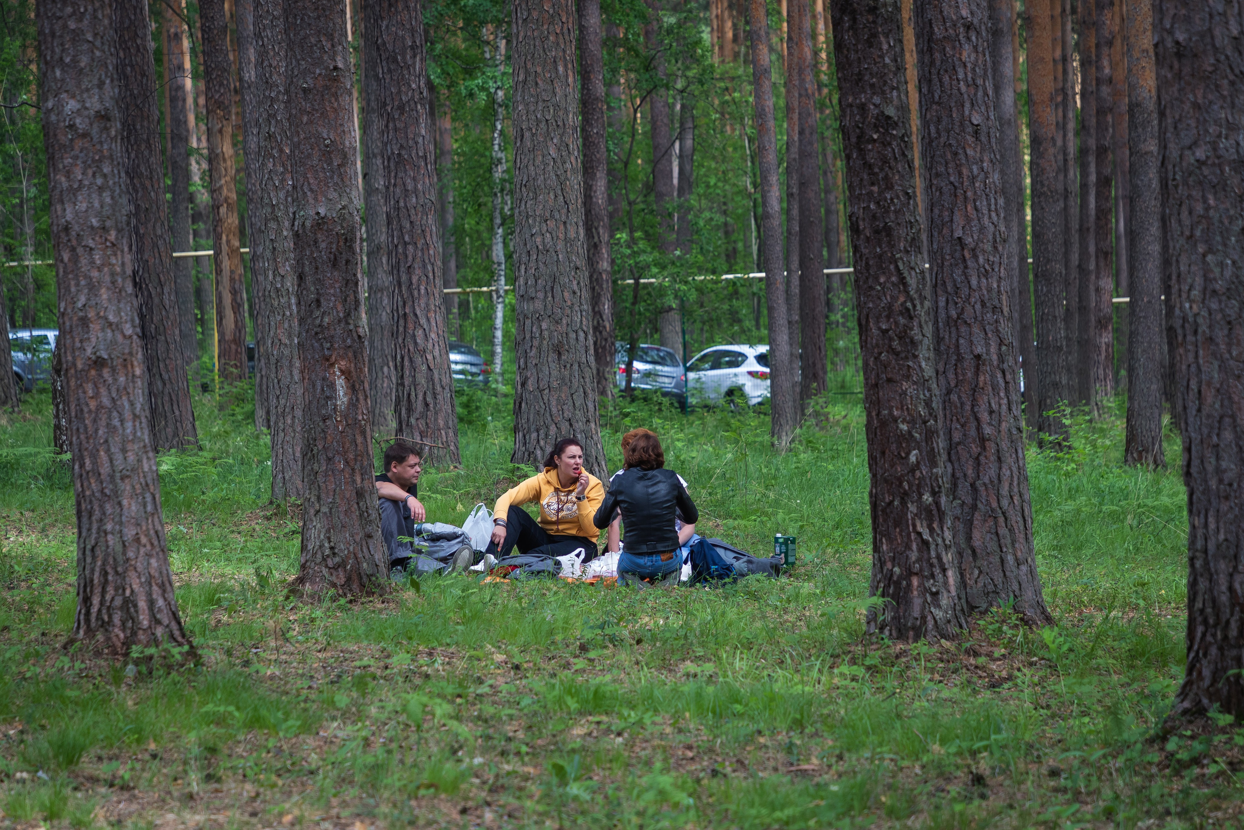 Эвер Джаз. Главная