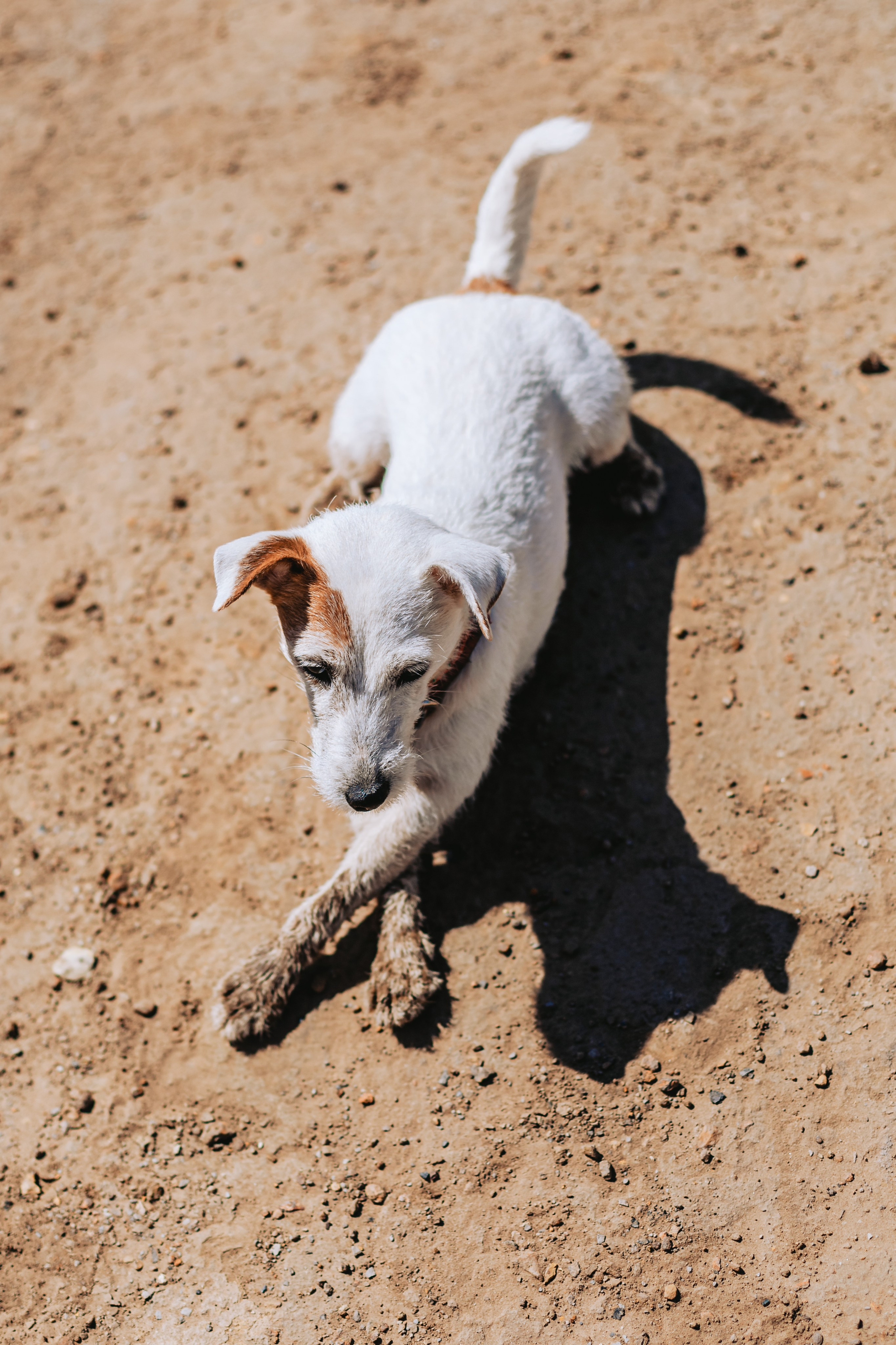 Кондуки. Фотограф-анималист Татьяна Степанова