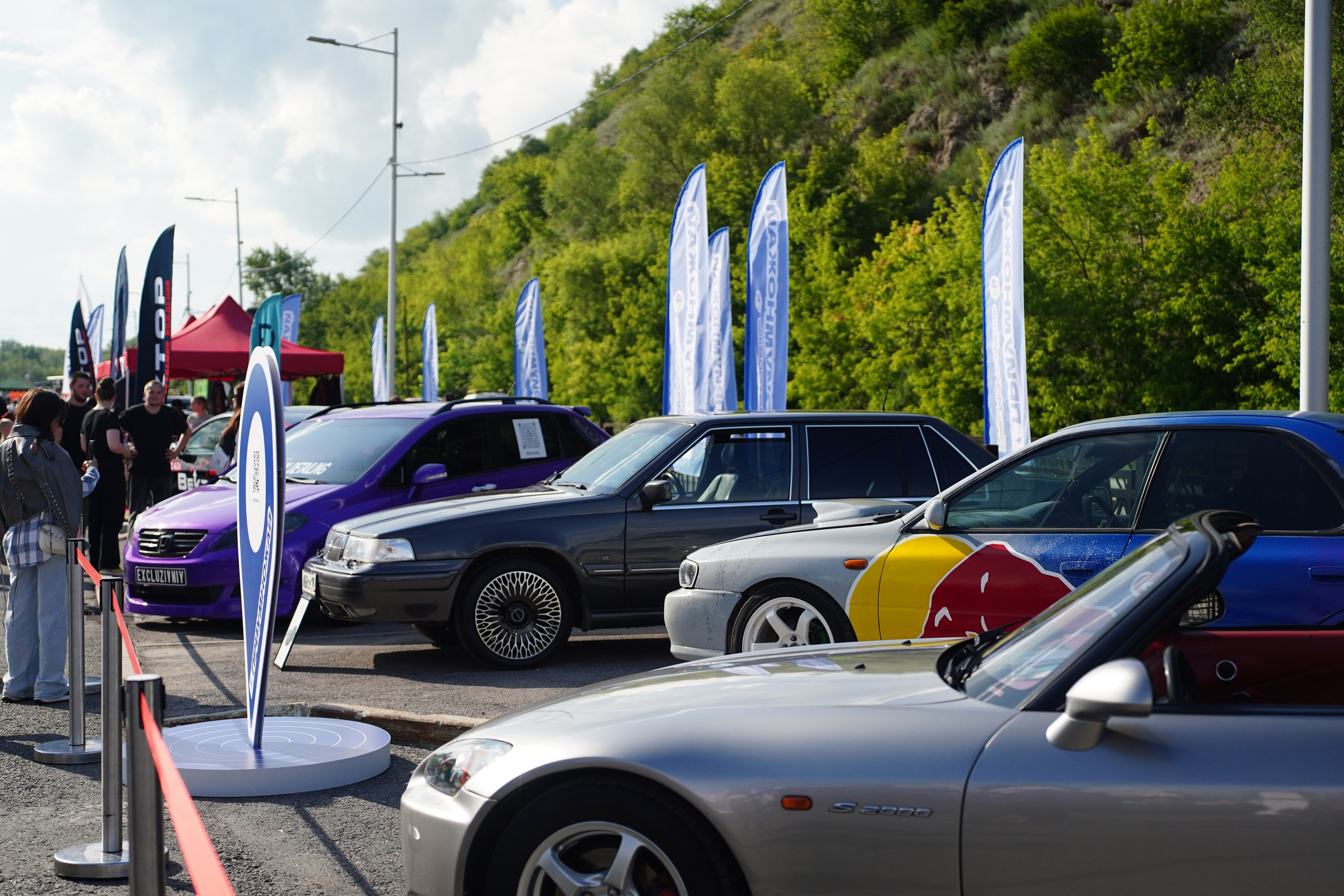 День Молодежи 2025. Pupov.png