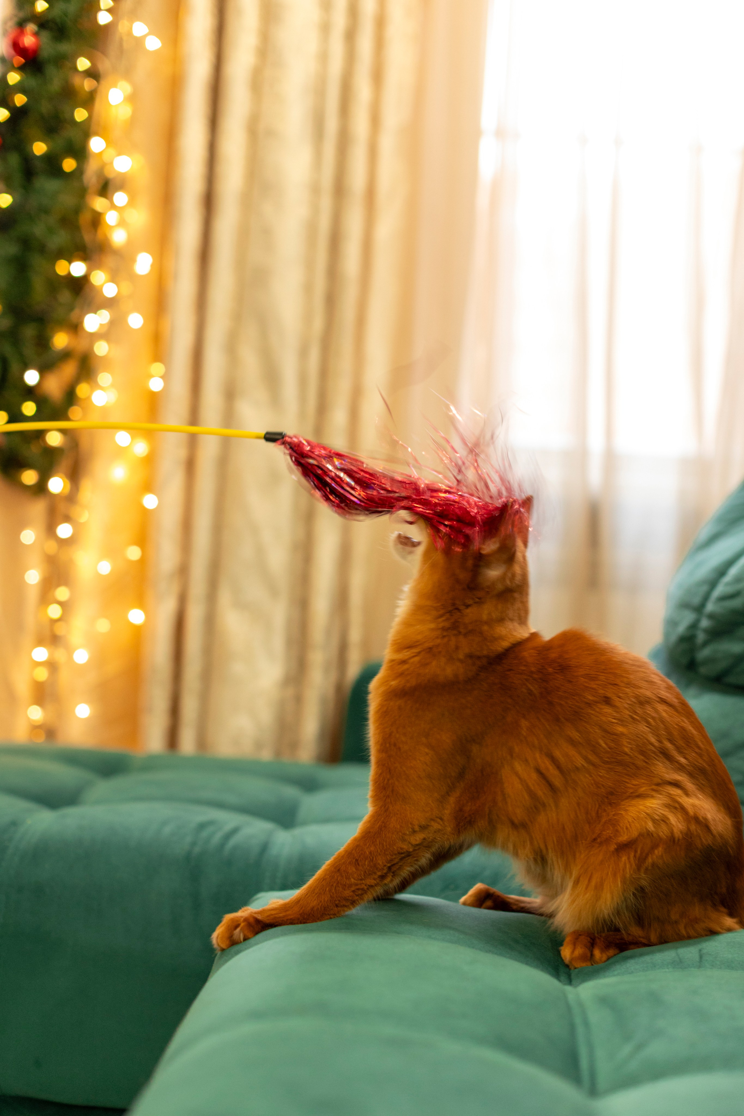 Сомали. Art my Pho