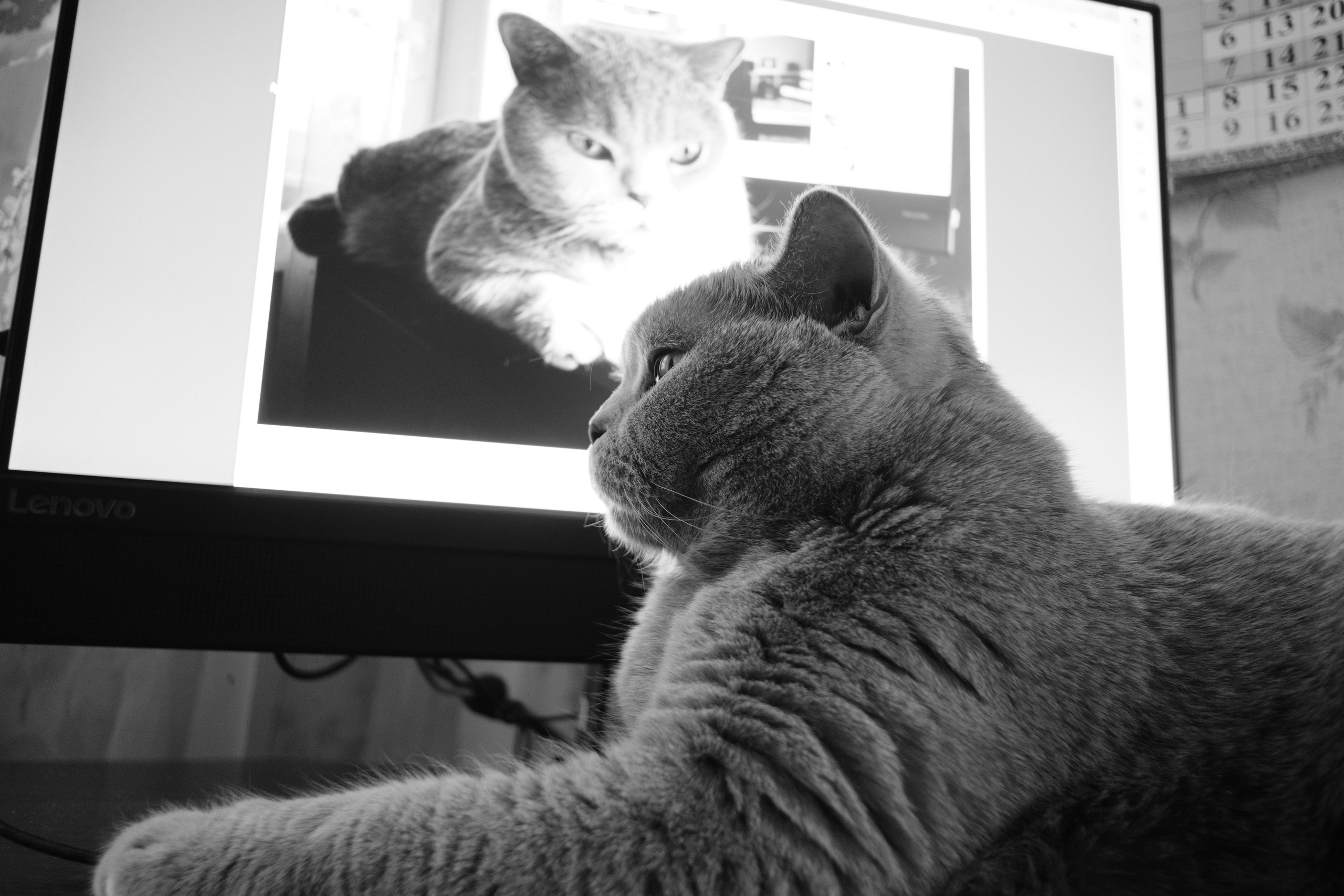 Улица, люди, жизнь…