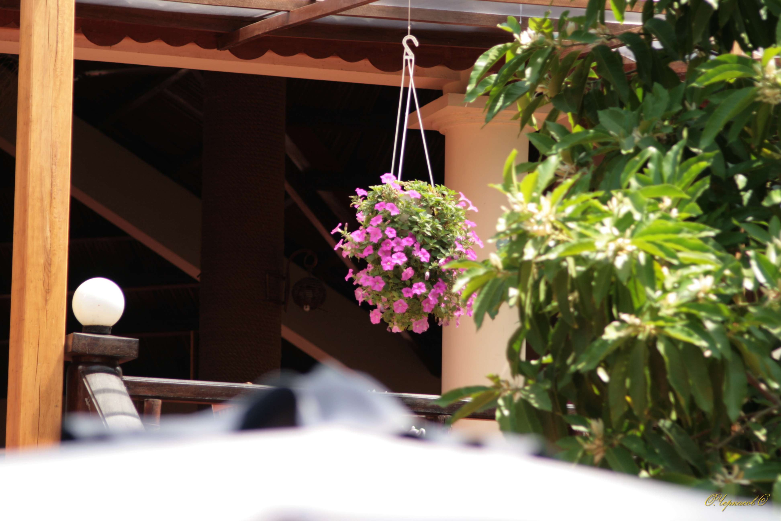 Вьетнам 2008 г. Улица, люди, жизнь…