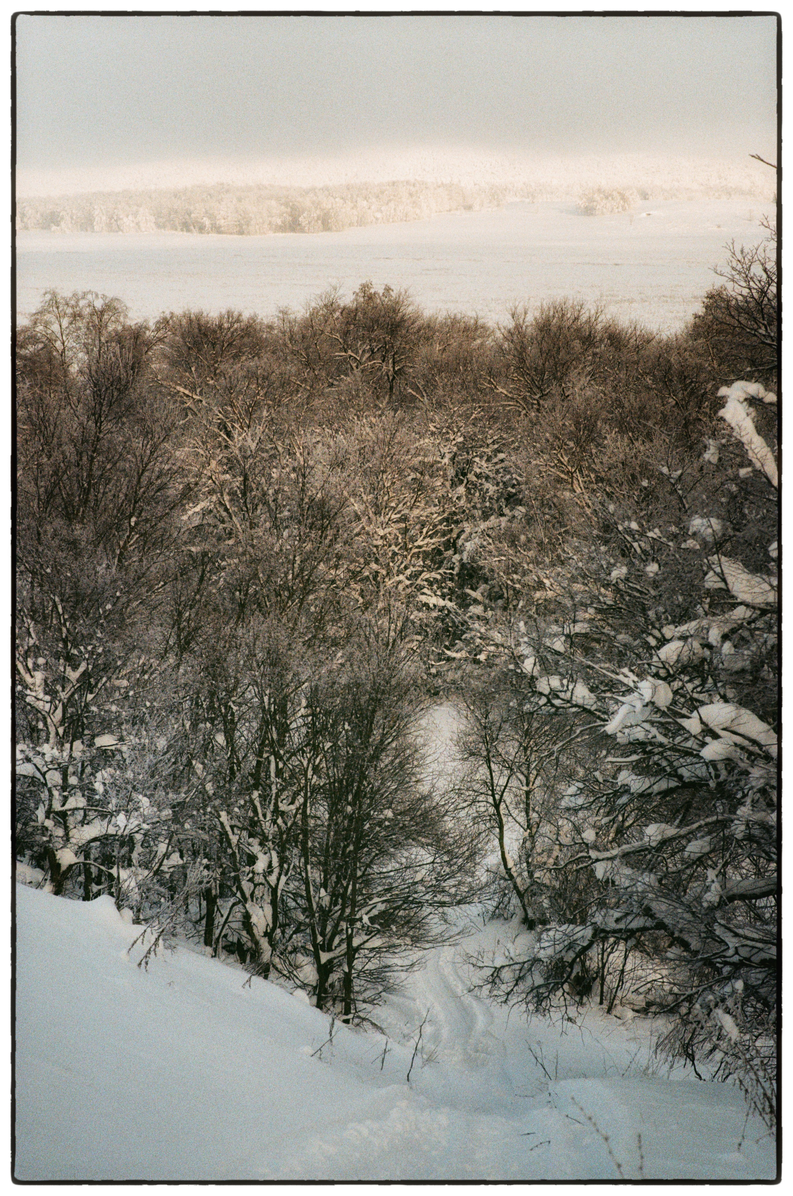 Зимнее. Фотограф Филякин Константин