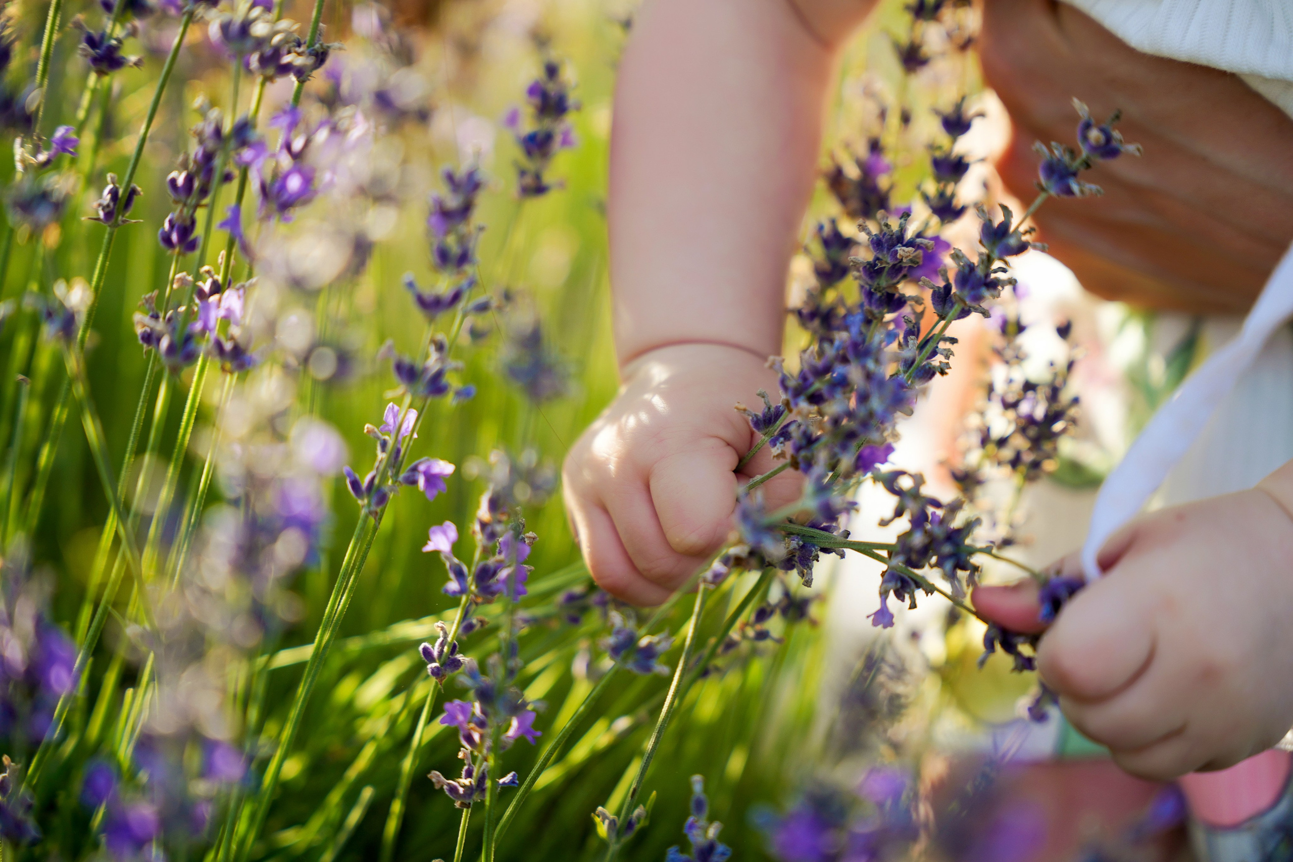 Семейная история в Maison Des Plantes. Фотограф Новороссийск | Геленджик и ЮФО Эльвина Ясинская