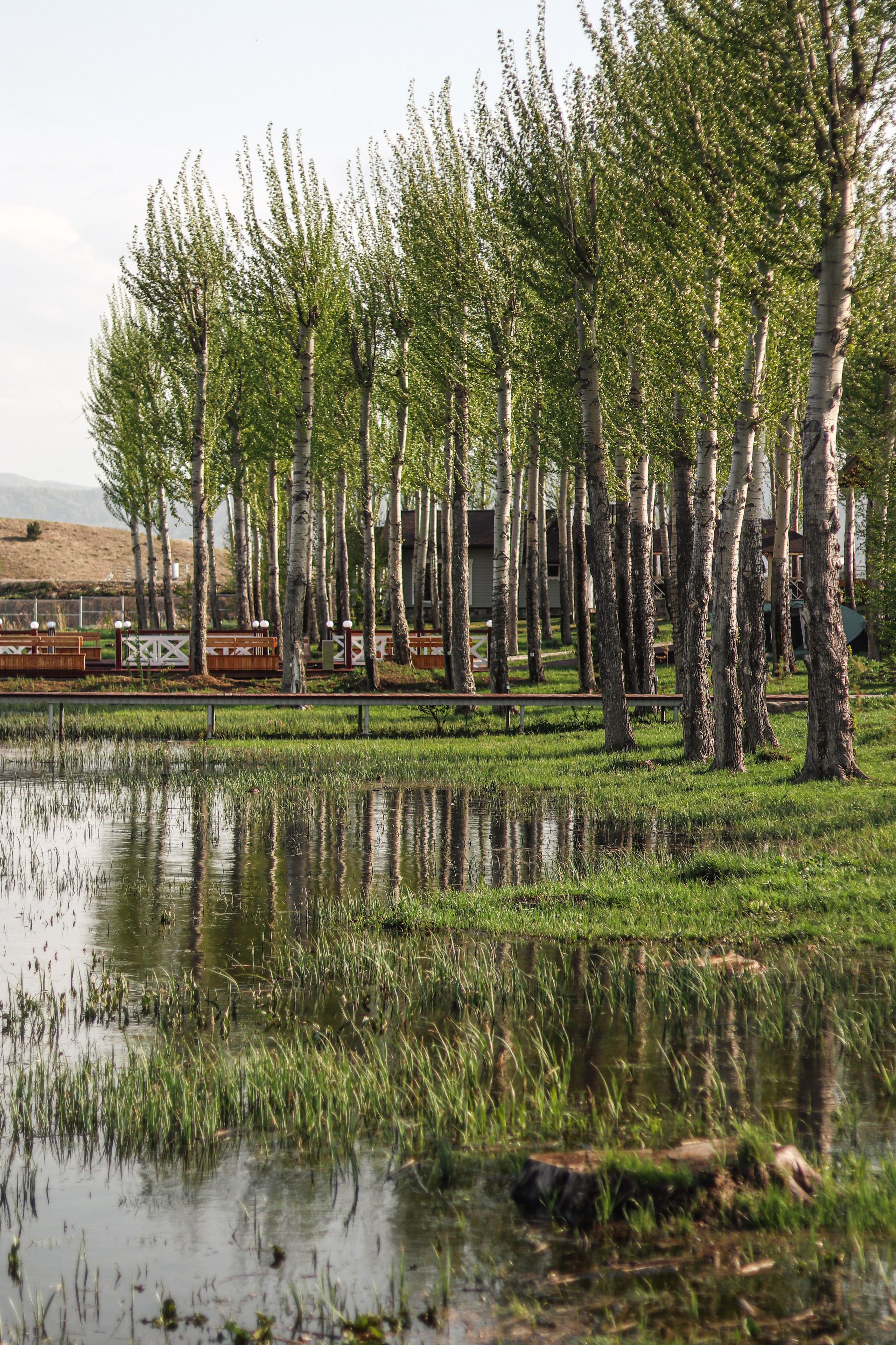 «Каменный ручей» пакрк-отель, с. Старобелокуриха. Контент фотограф Дмитрий Борисов