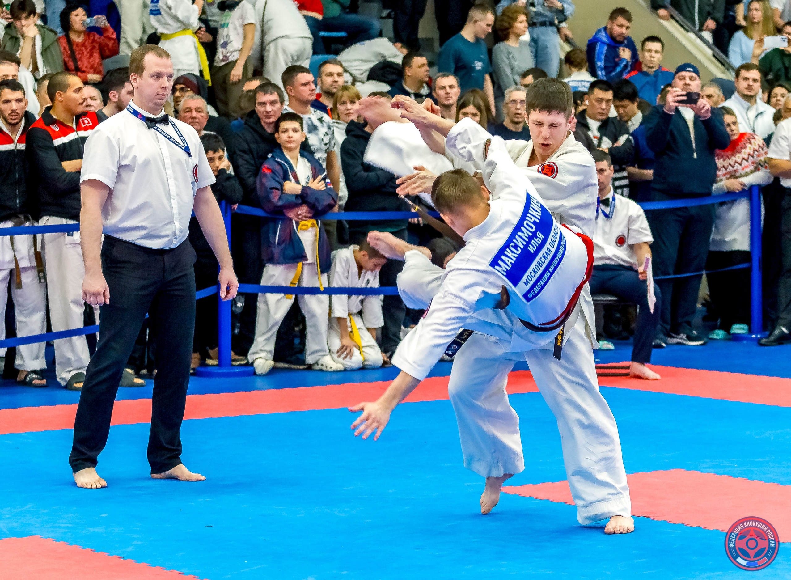 Международный турнир по киокушин «Открытый кубок Seiken». Репортажная съемка в Москве и области. Анималистика