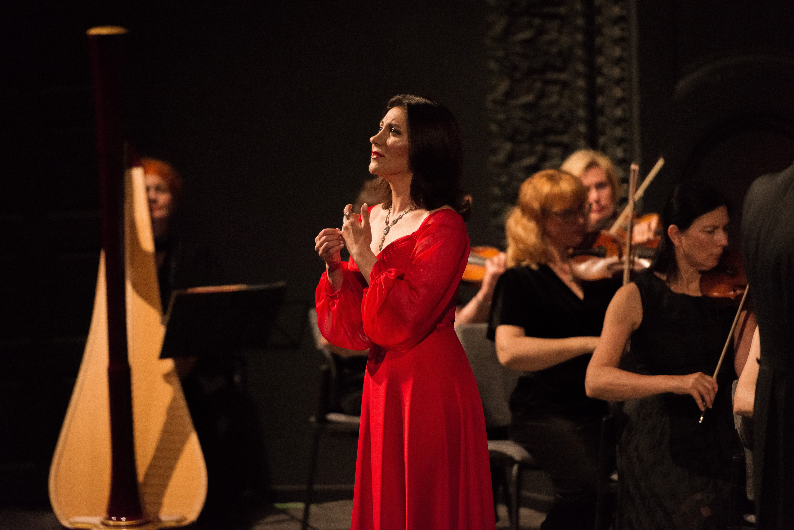 •Концерты. Фотограф Ксения Шевкопляс. г. Калининград. Кинематографический стиль — эстетика и истории, рассказанные через объектив