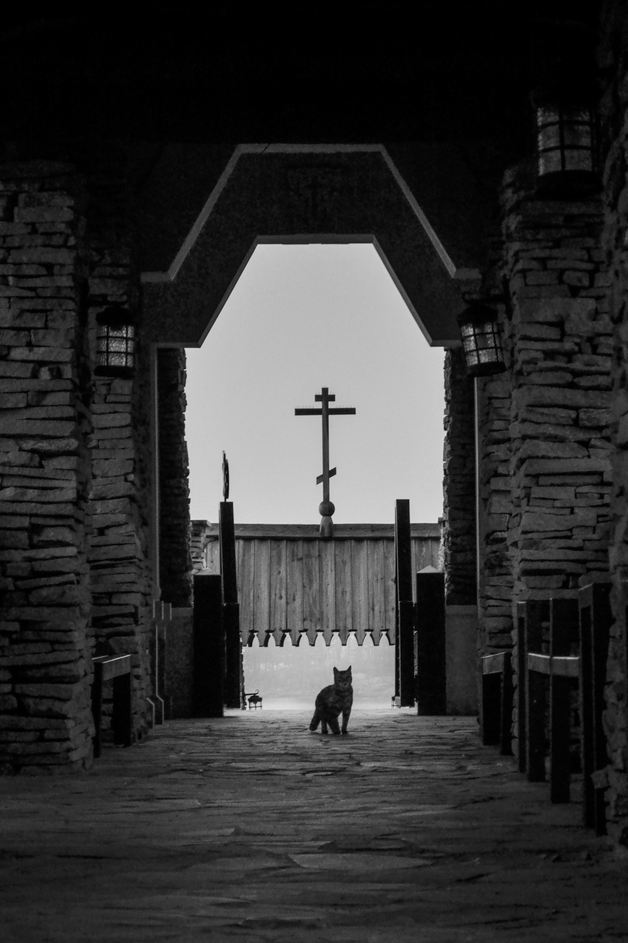 Репортажи. Трандин Иван Фотограф СПб