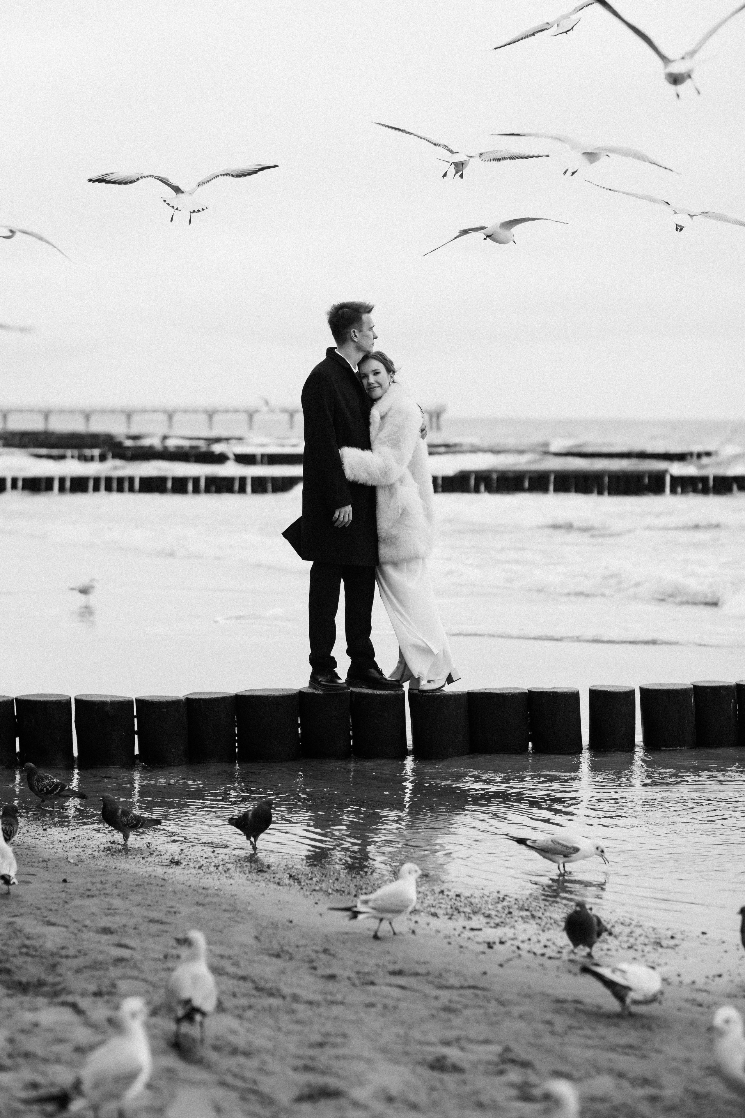 Свадьба в канун Нового года. Фотограф Зеленоградск Красильникова Елена