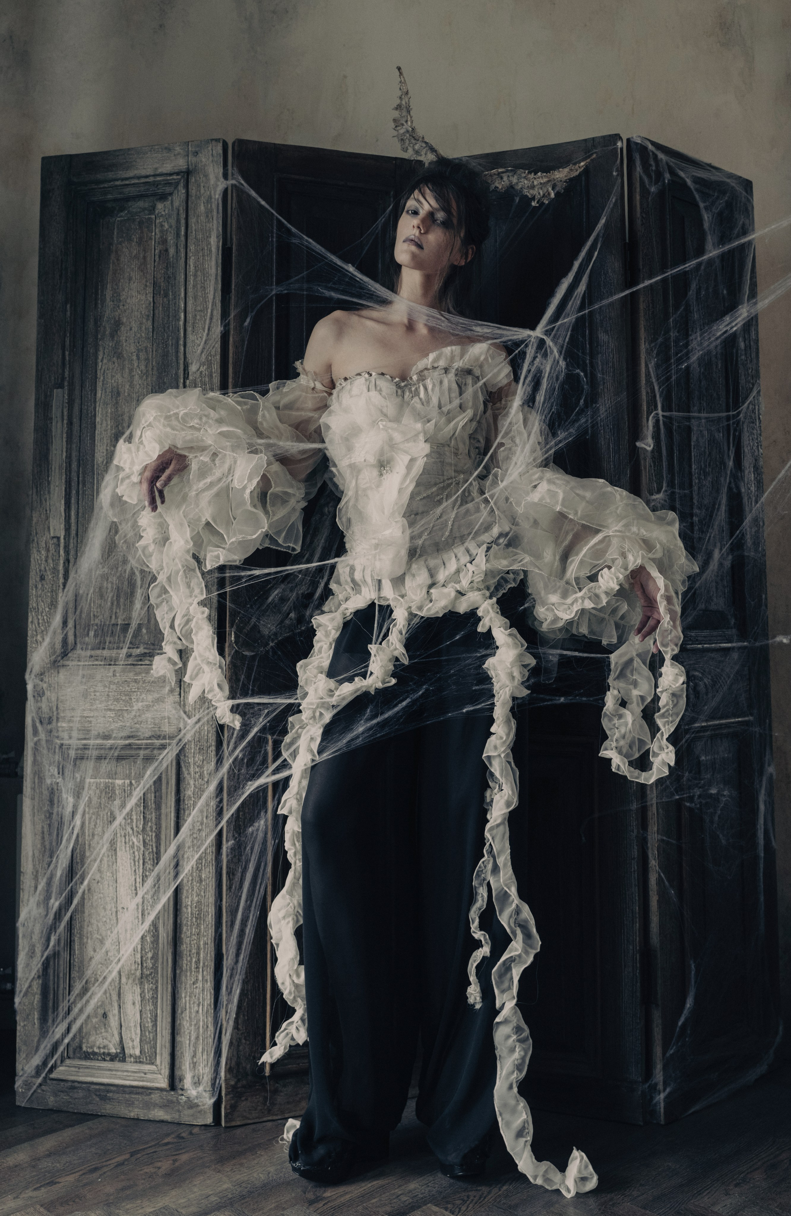 Моль. Фотограф Anita Mivchas
