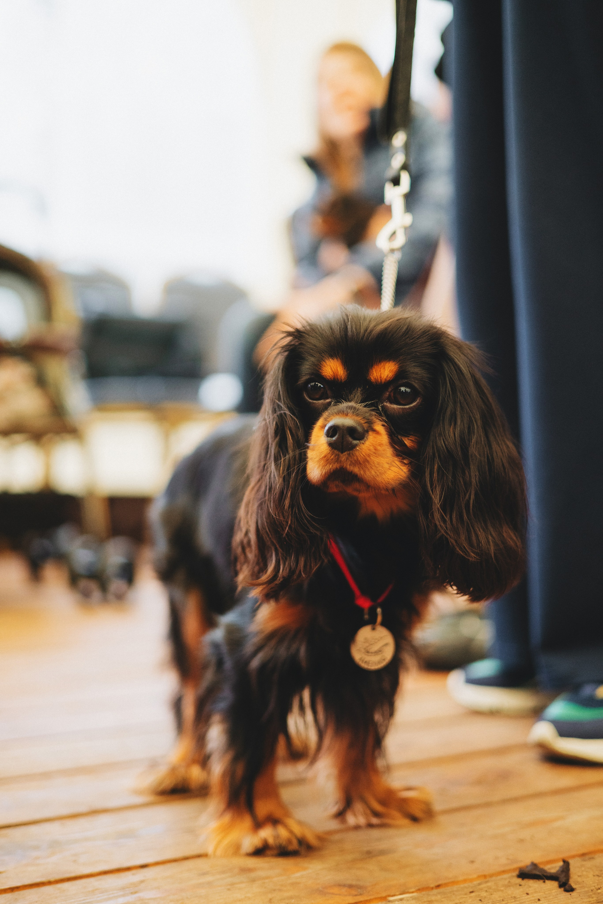 Встреча ККЧС. Фотограф анималист Осипчикова Мария