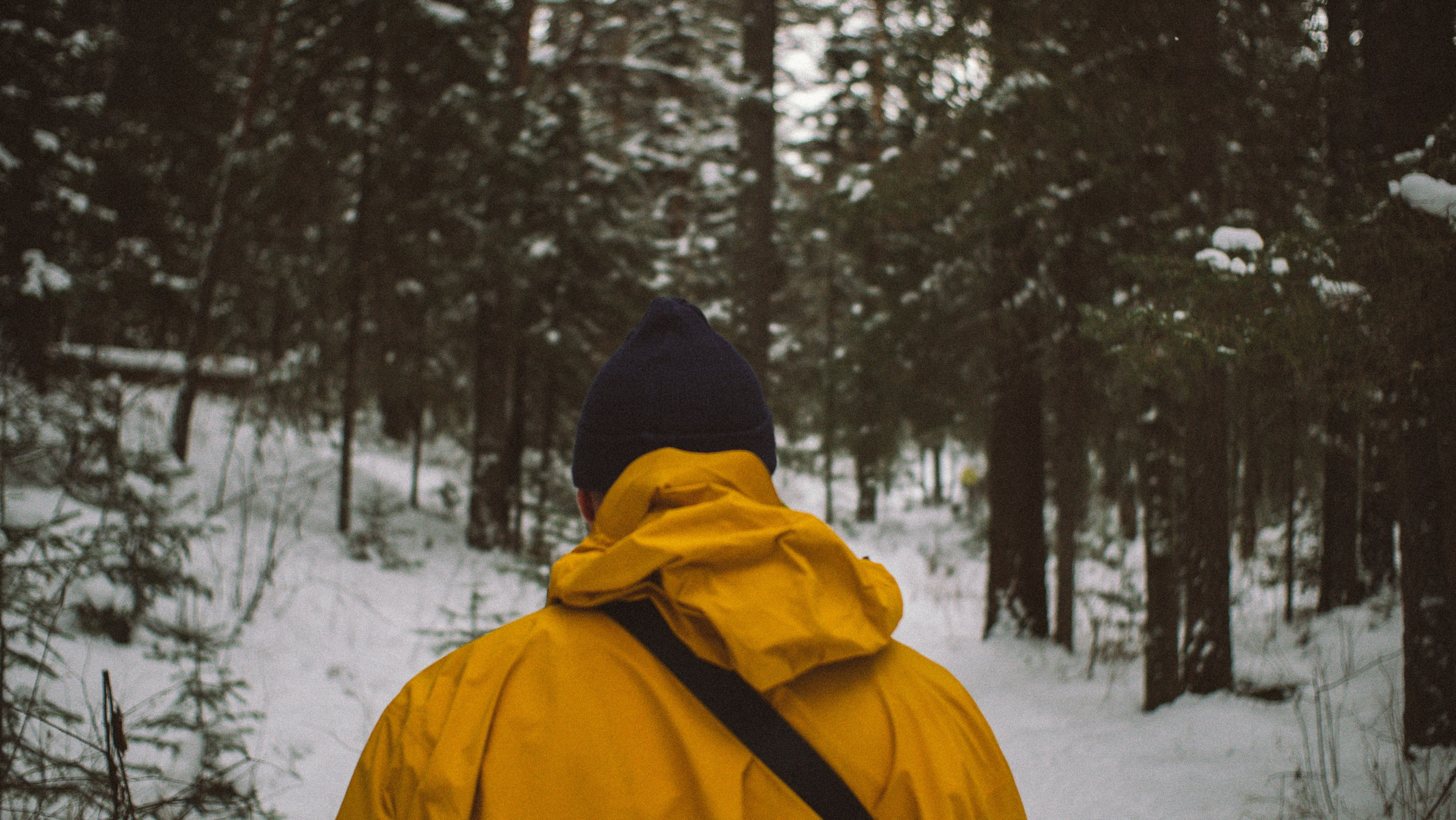 Фотографии из путешествий. NECULTURED PHOTOGRAPHER