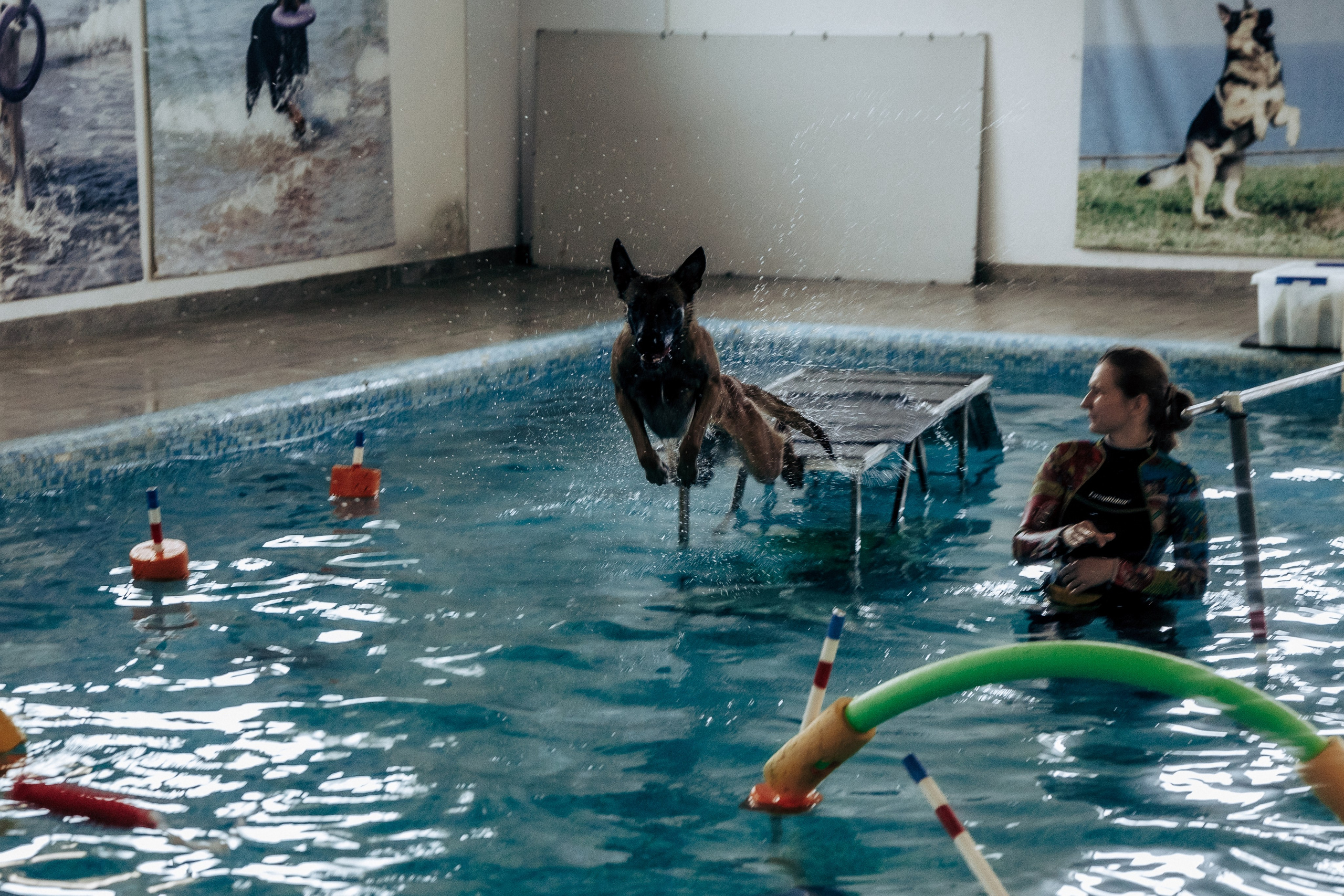 Репортажная фотосессия «День питомца-донора». Профессиональный фотограф в Санкт-Петербурге Александр Волосенцев