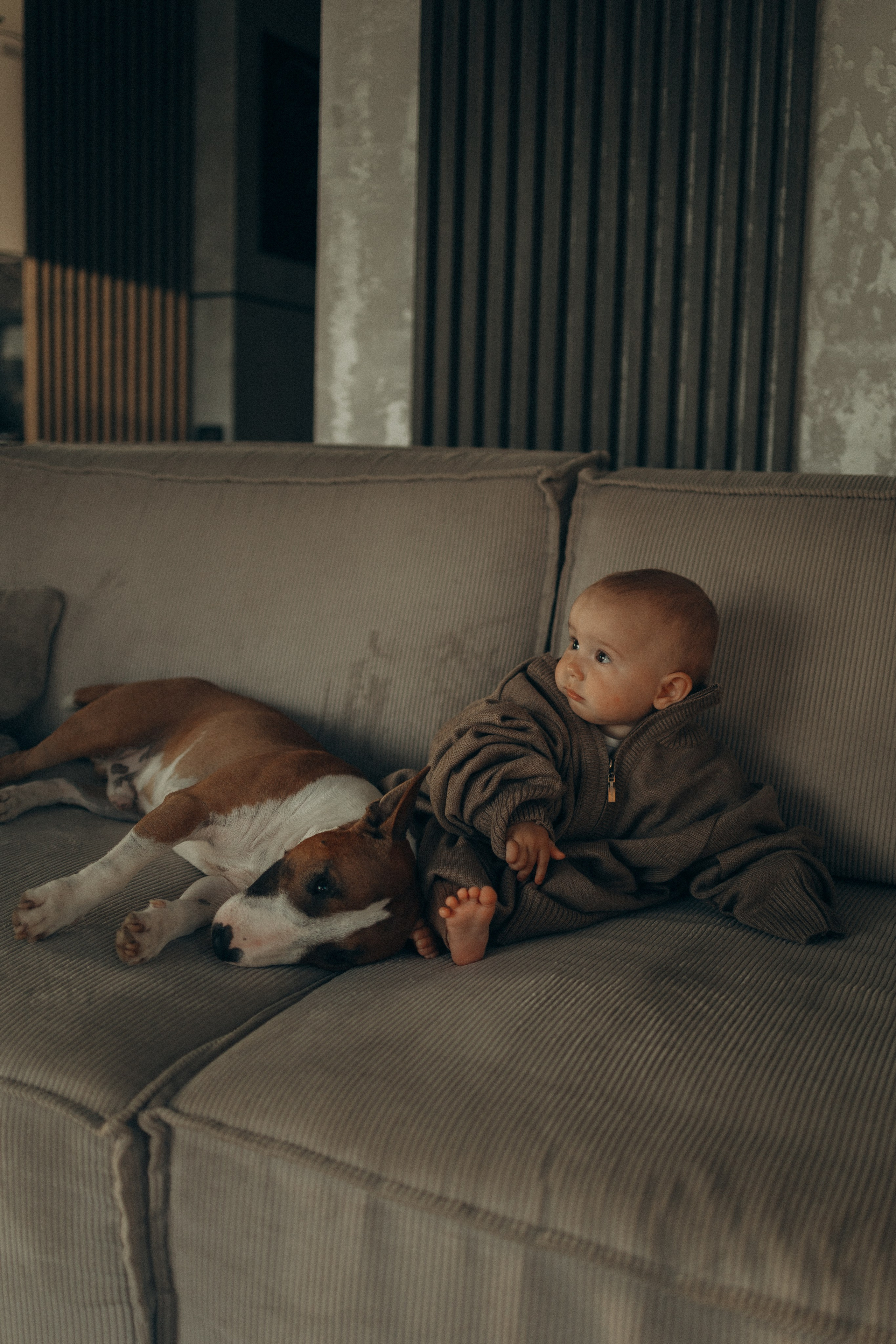 Семейная. Фотораф — анималист Мария Шистка