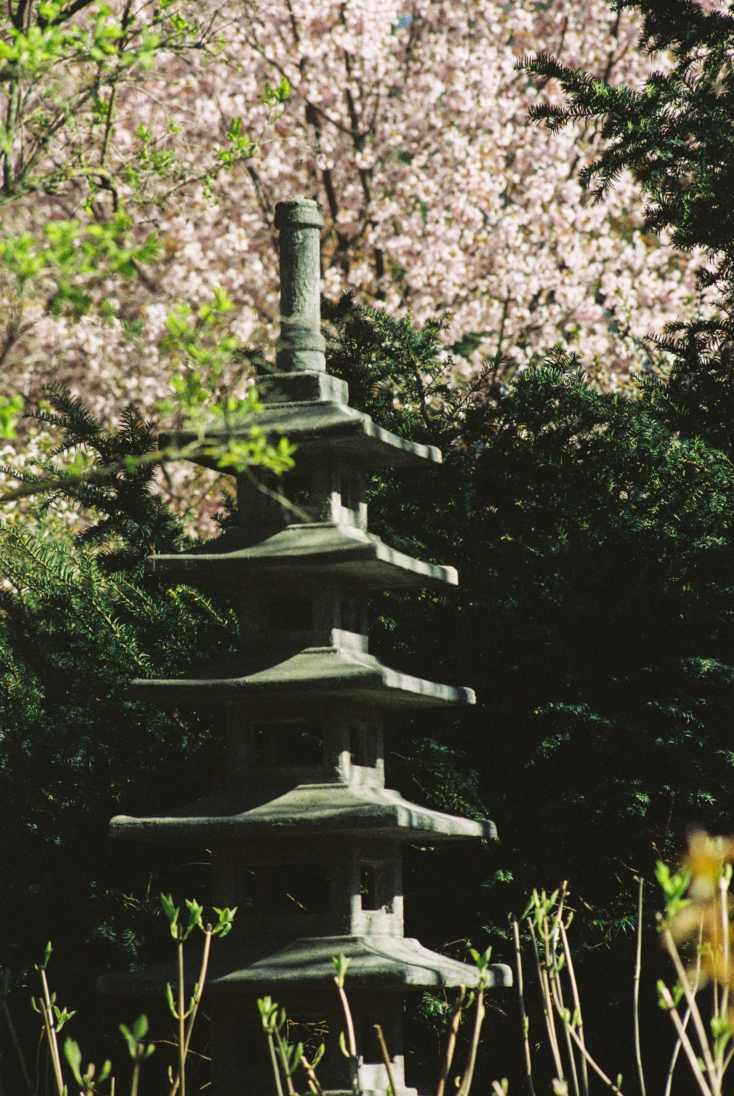 Плёночная весна 2025. Илья Михачёв Фотограф ПРО людей