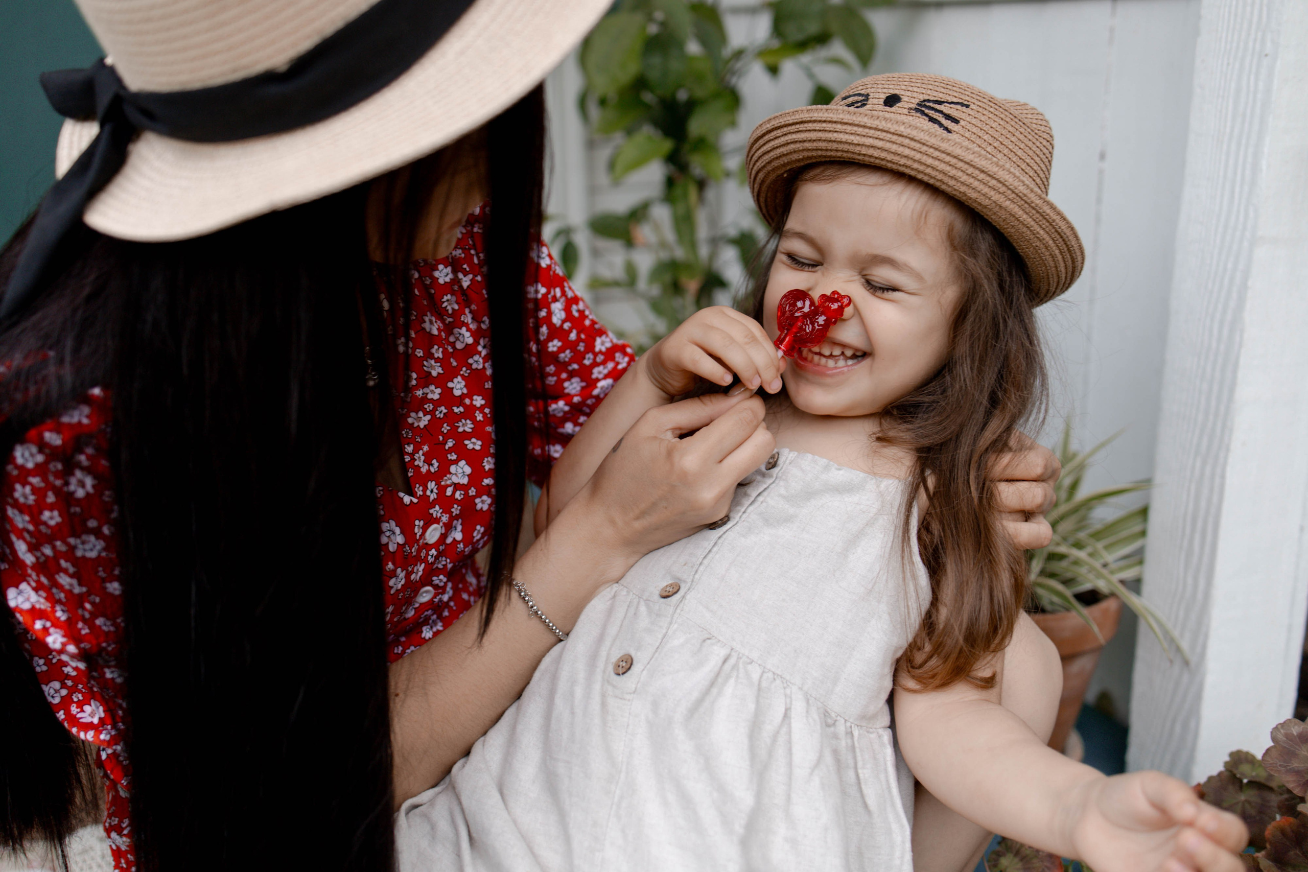 Дачная история