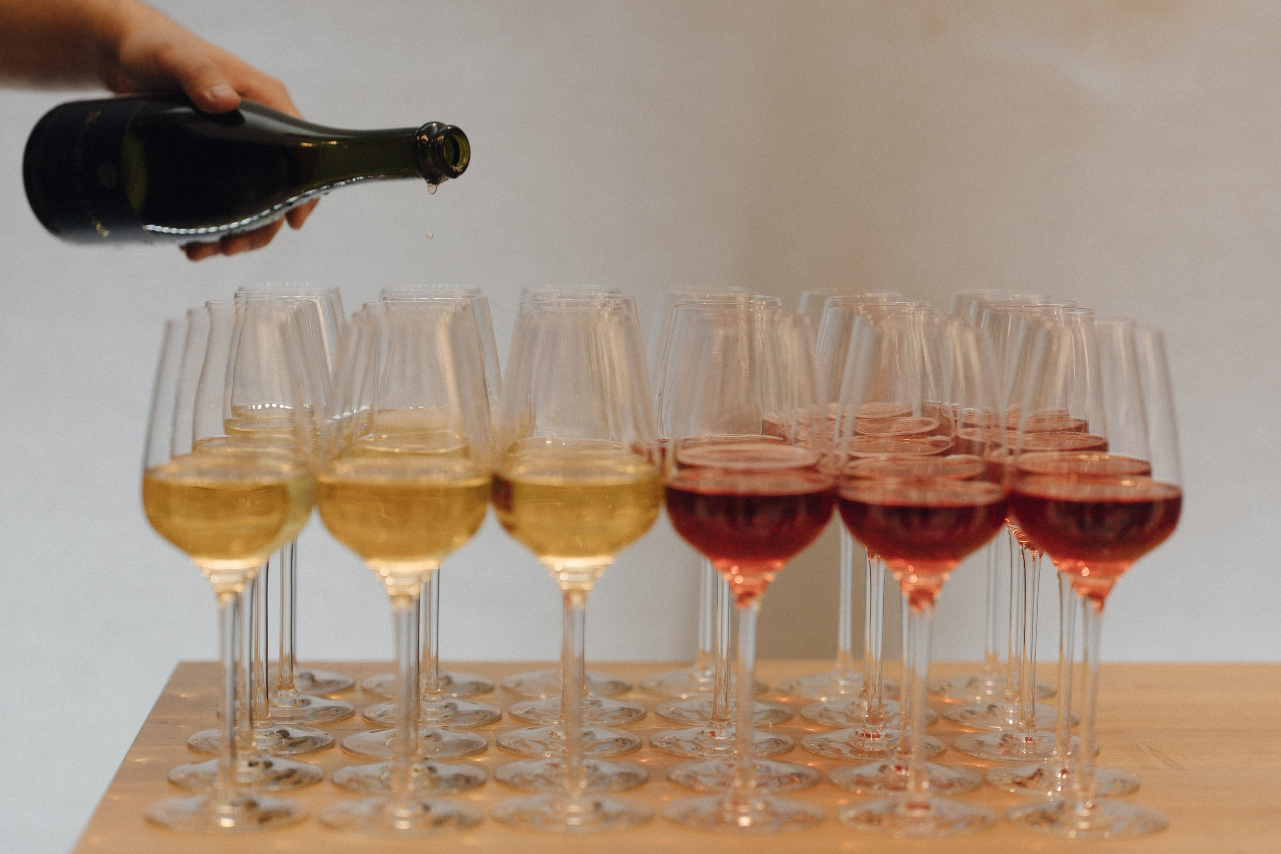 WA NW '24. Фотограф в Санкт-Петербурге Александр Дымов