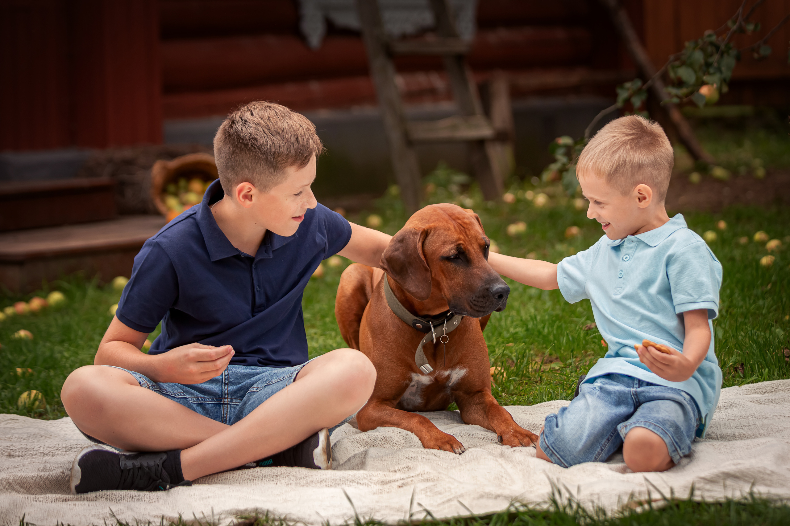 Семейная съемка для Лиды, Леши, Макса и Миши в Иславском. Семейный и детский фотограф Комина Елена, Власиха, Одинцово