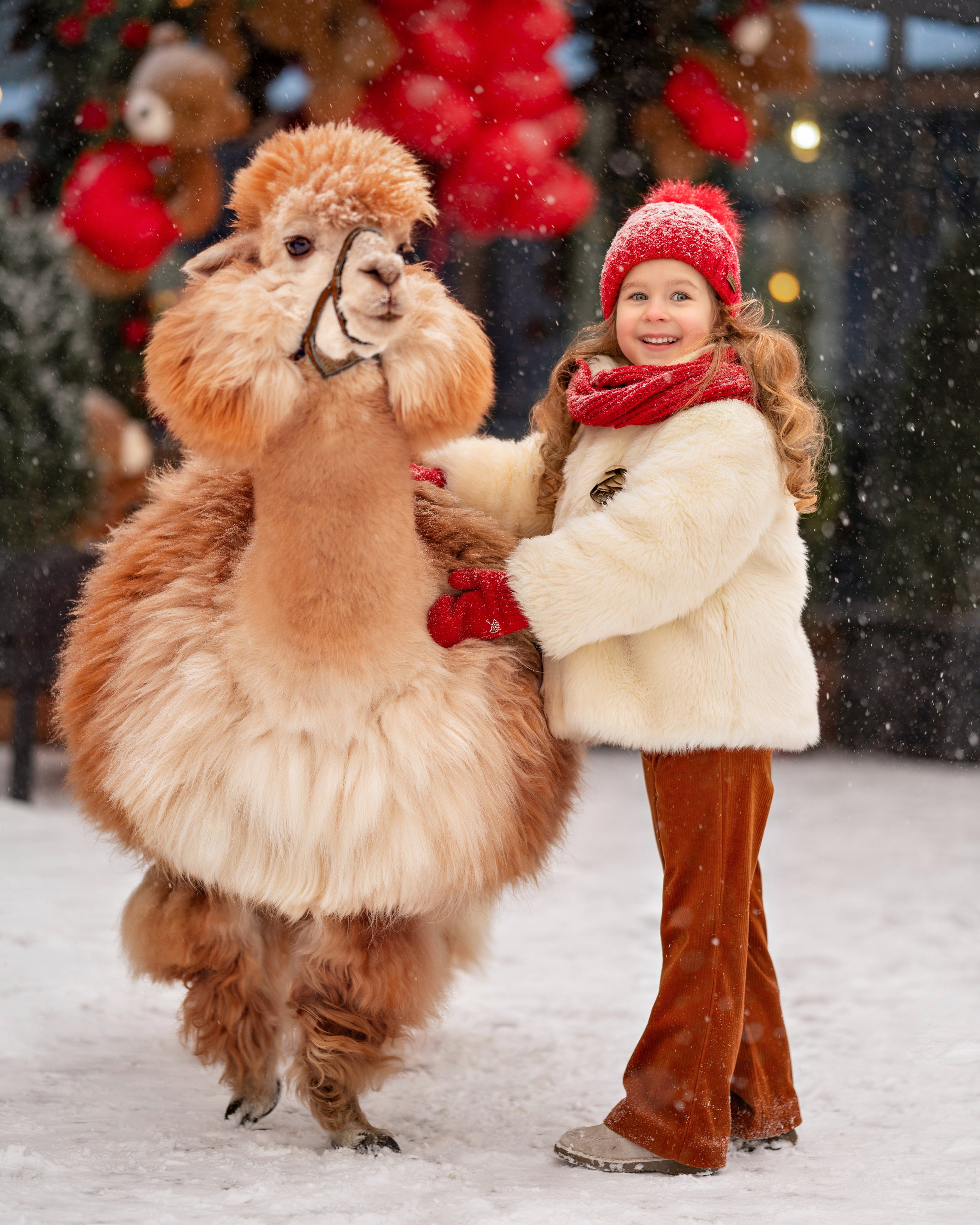 Фотосессия с альпаками в  YOO студии. Детский и семейный фотограф г. Москва Оксана Катаджи
