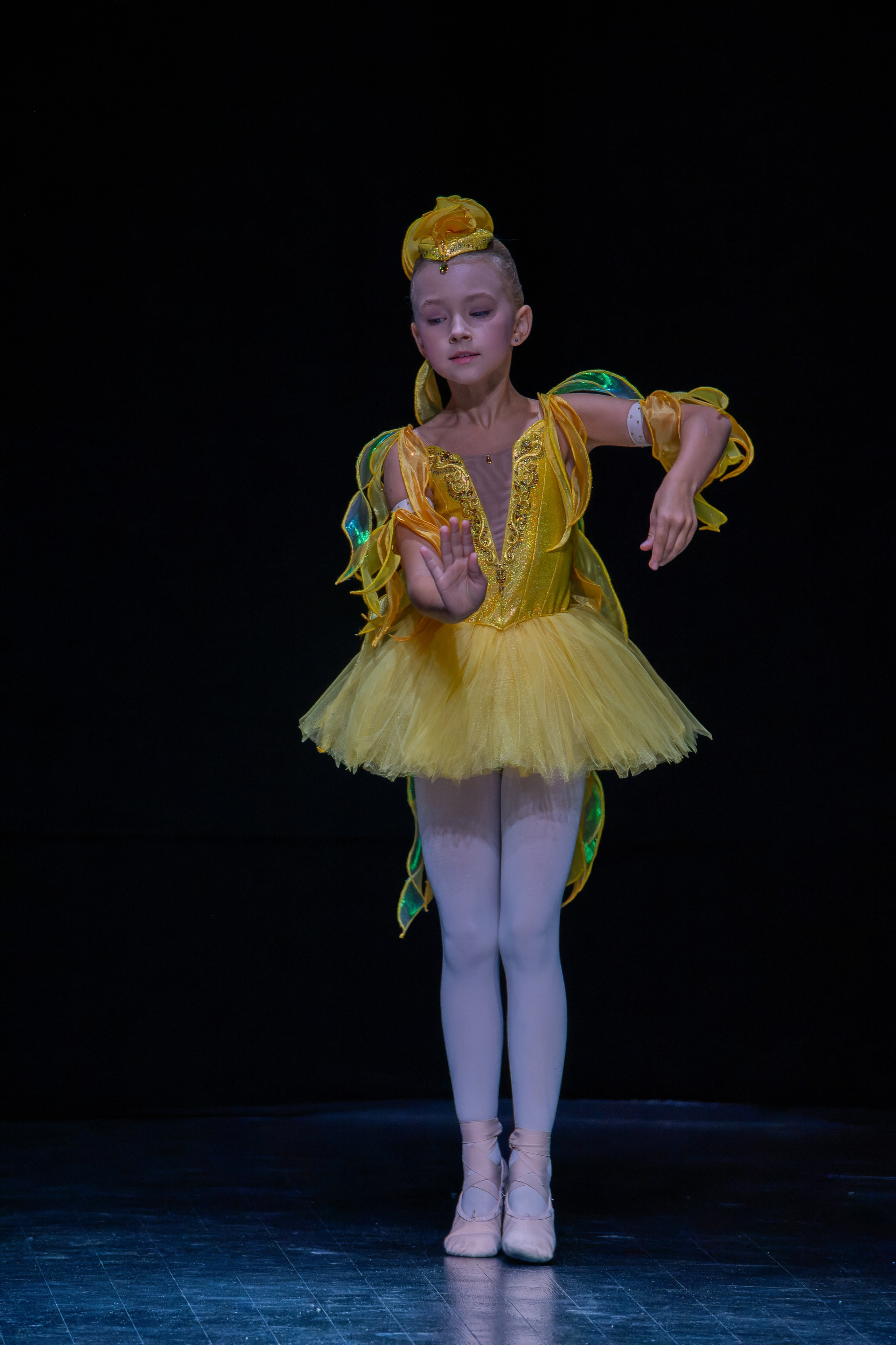 Концерты и выступления. «Студия DRONAVT`s» — видеосъёмка и фотография г. Москва