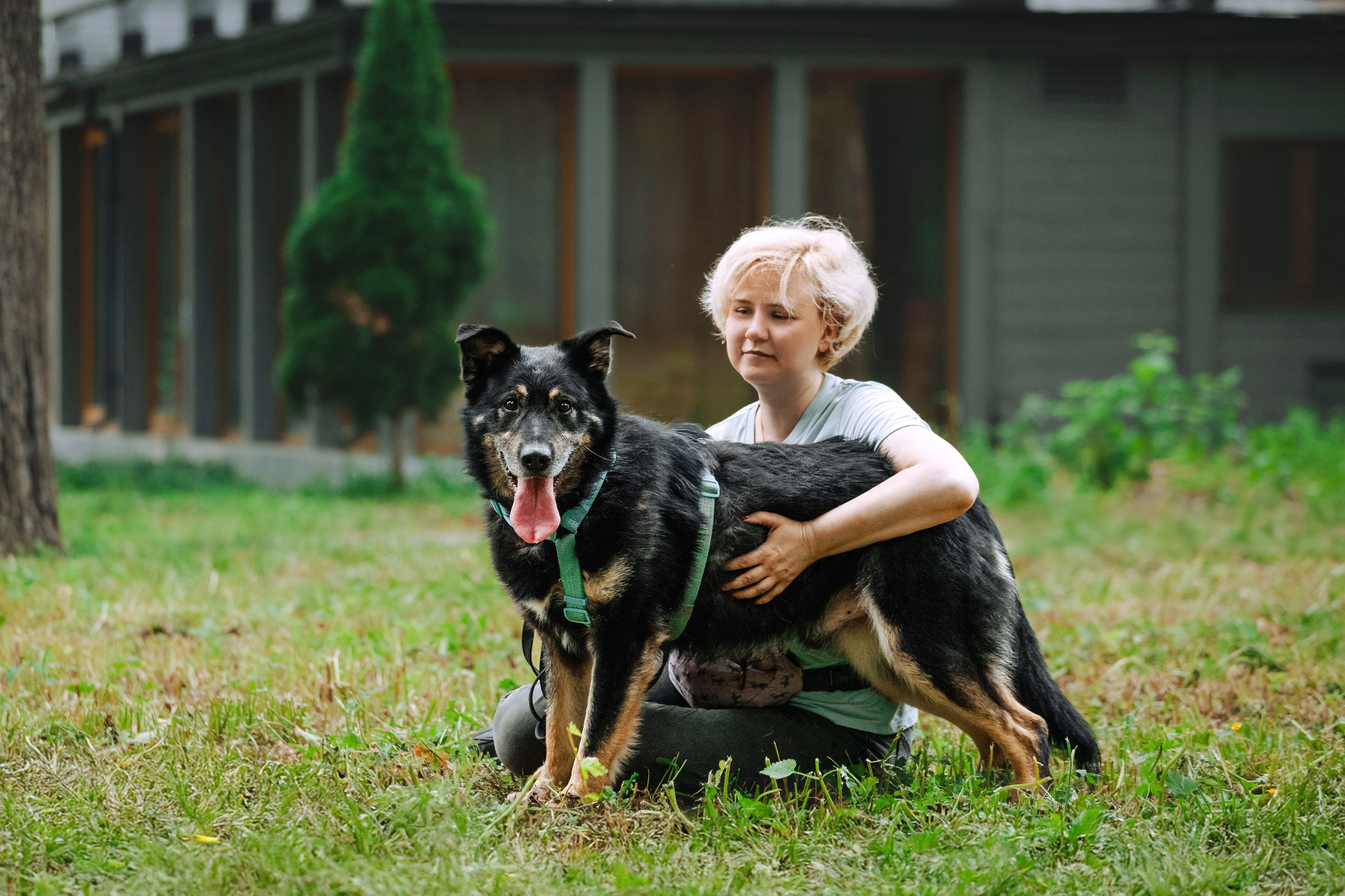 Собаки из приюта Дубовая роща лето 2025. Фотограф-анималист Татьяна Степанова
