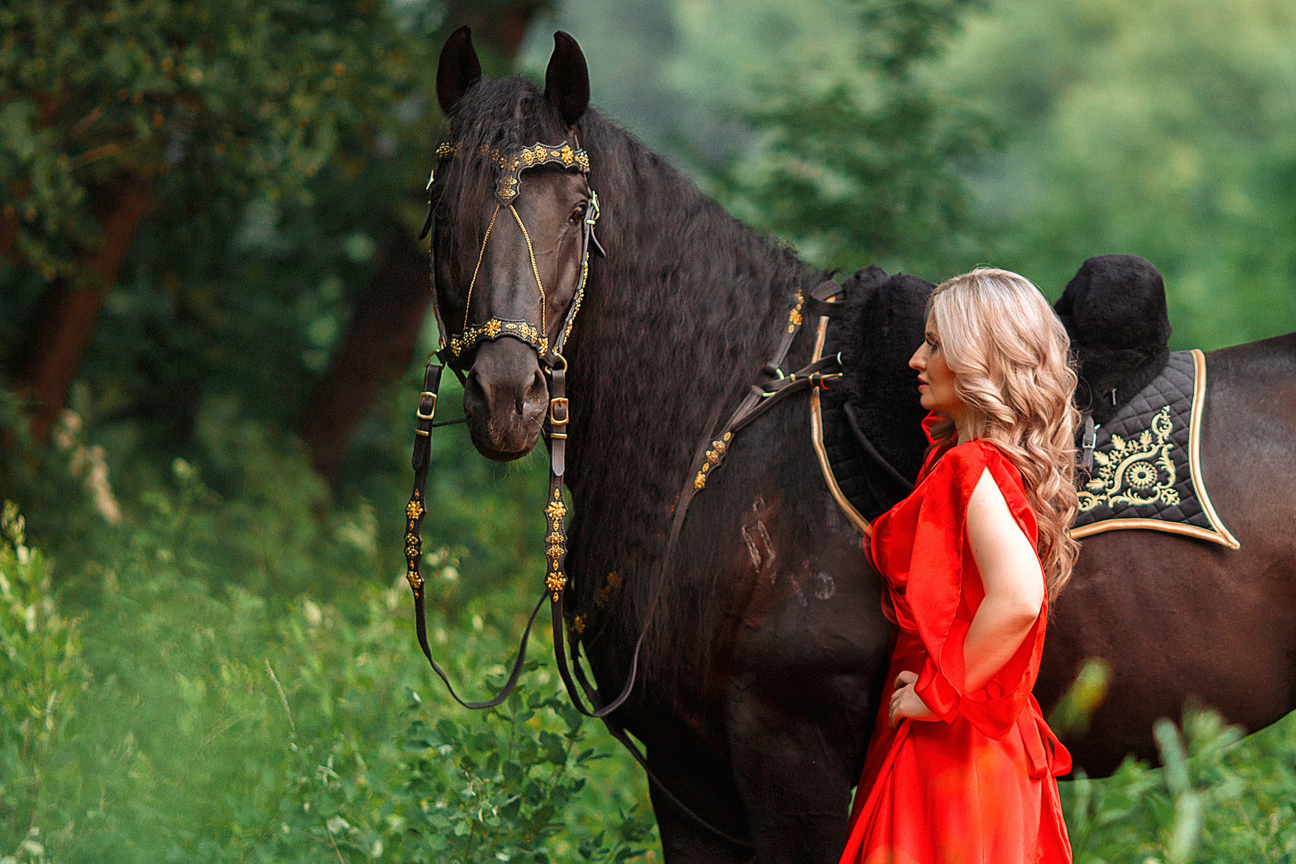 Сьемки с лошадьми. Конный фотограф в Благовещенске-Мария Балабанова