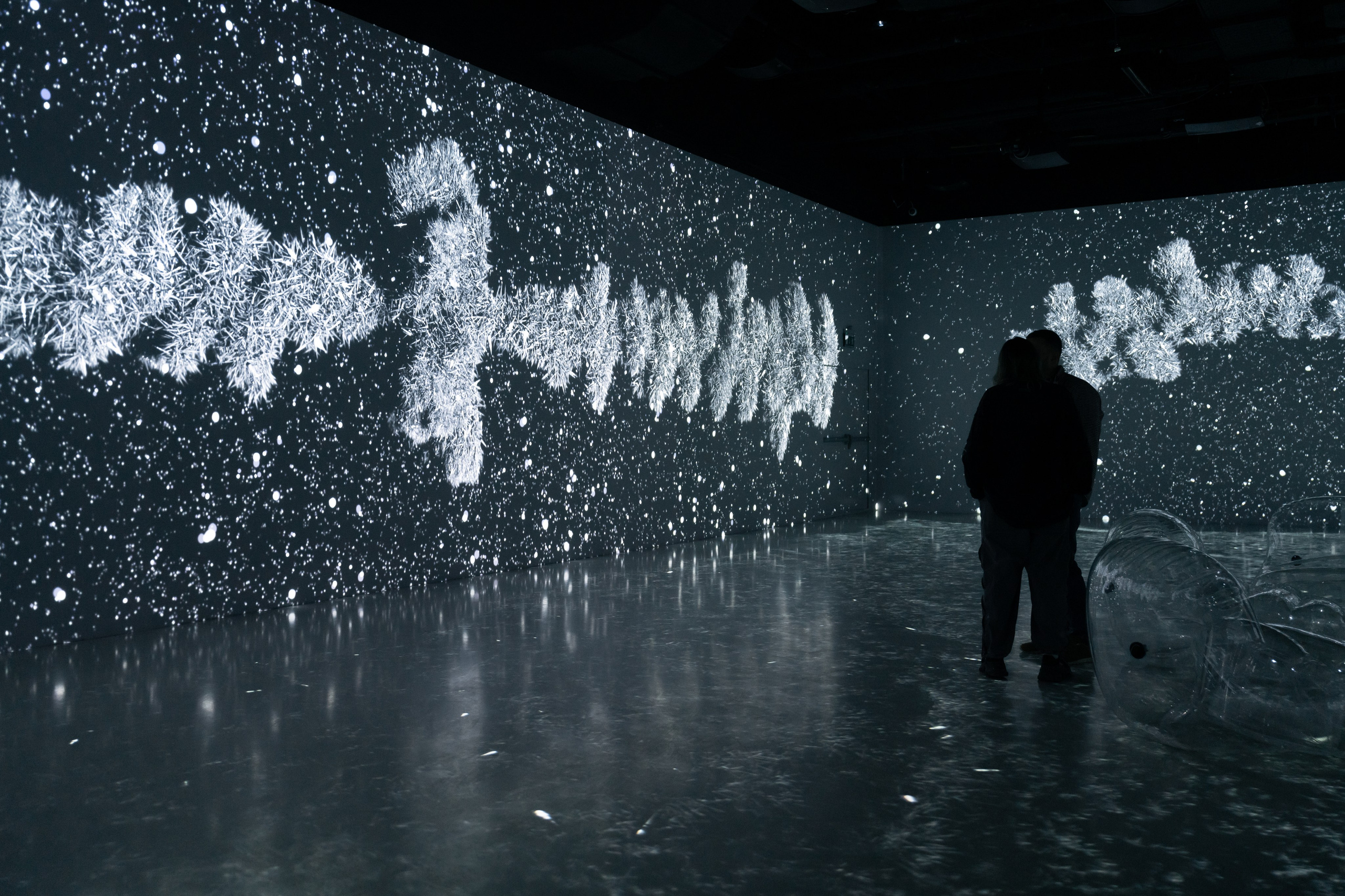 Generative Gallery & Luminar X, Making Magic. @tomrus: Рустам Шагиморданов — фотограф