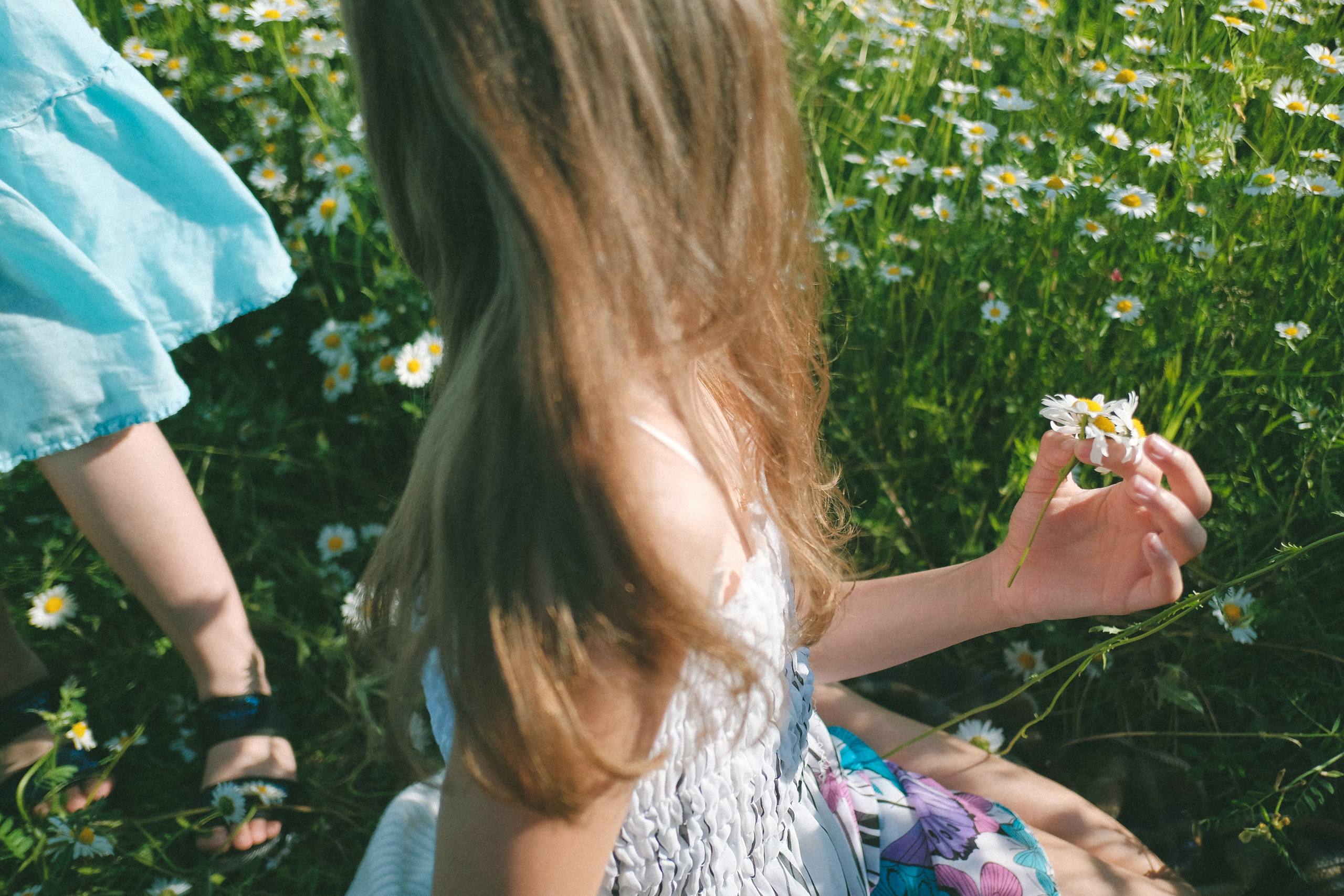 Ждановы в ромашках. Женский и семейный фотограф в Краснодаре и крае Таня Мустафина