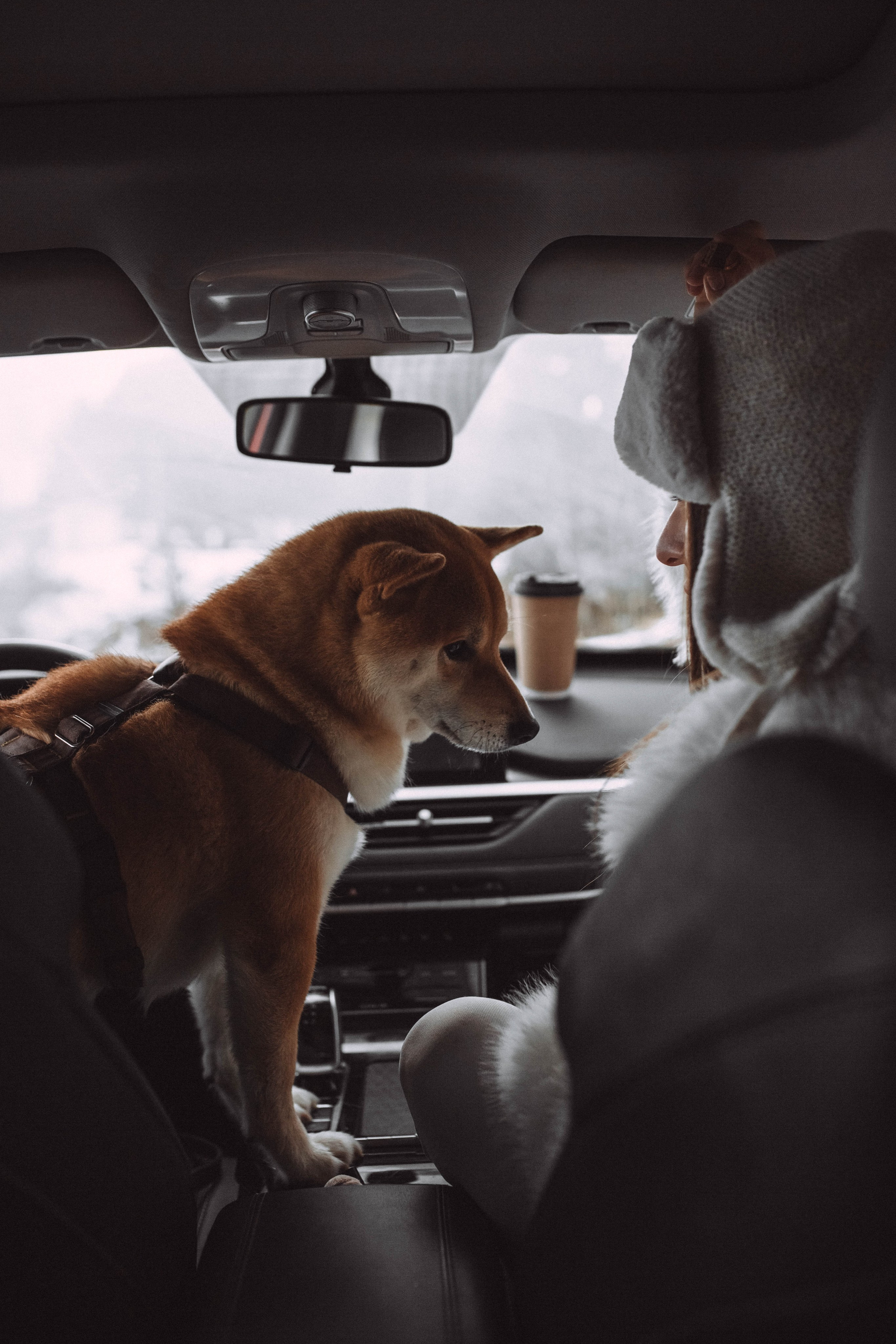 Лера и Каппи. Семейный и женский фотограф в Москве/Твери. Меня зовут Яна Гош