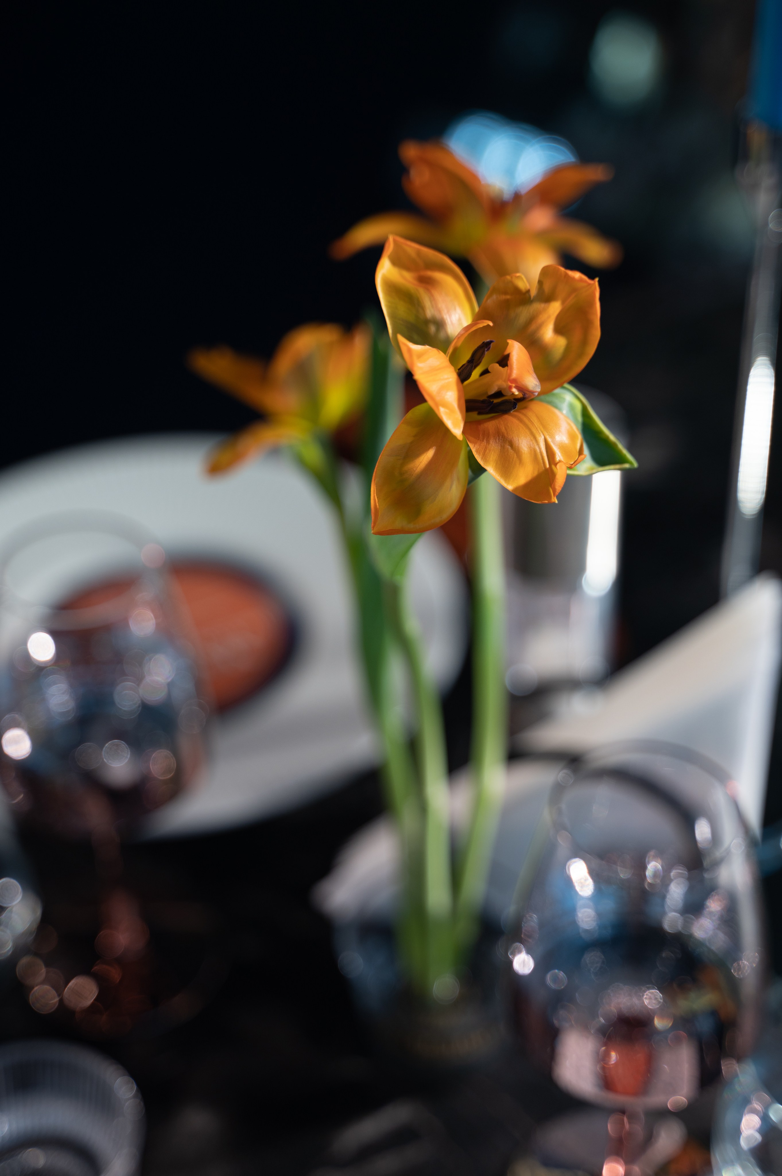 Люда & Костя. Свадебный и семейный фотограф Тюмень Екатеринбург Москвина Алёна