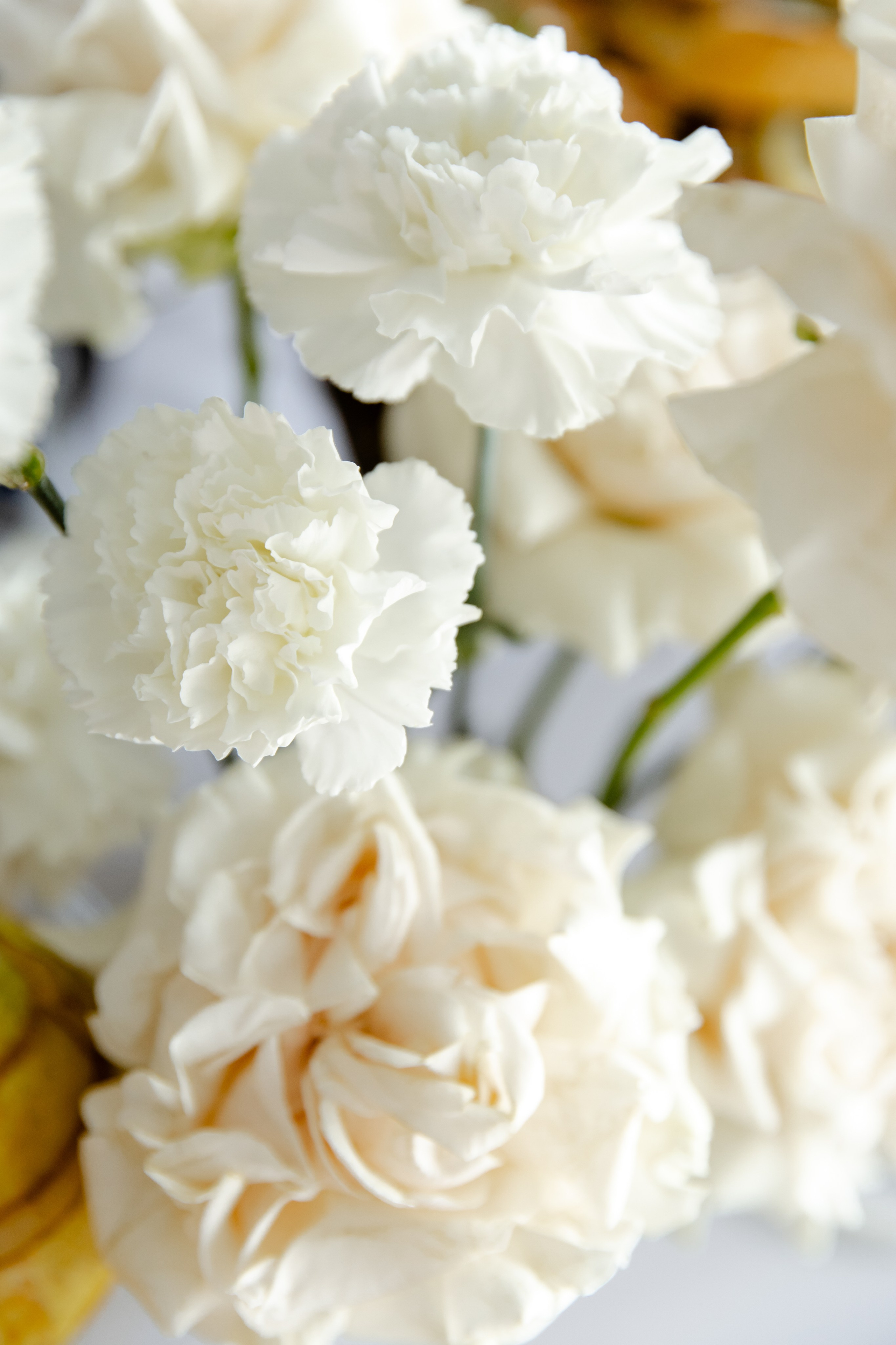 Свадебный день Влада и Вики. Свадебный фотограф Анна Бабахина