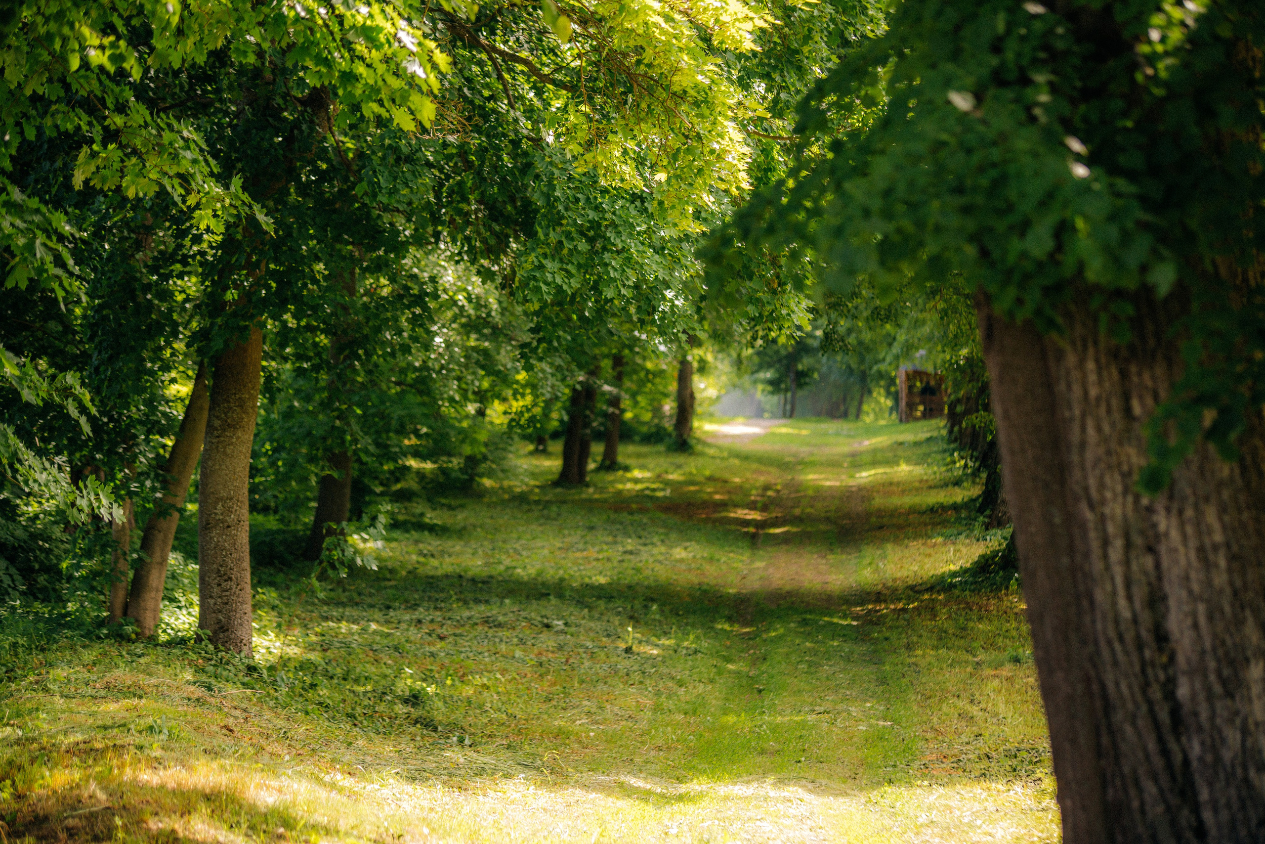 Музей-усадьба «Никольское-Вяземское». Профессиональный фотограф в Мценске и Орловской области