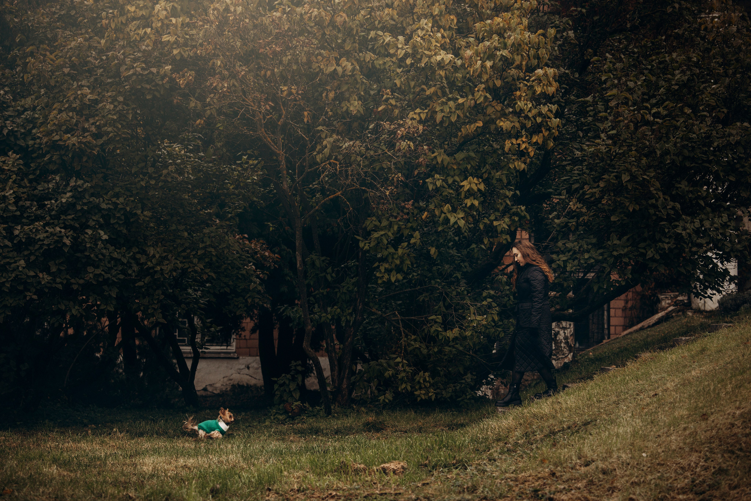 Настя и Тёма. Фотограф — Анималист | Санкт-Петербург