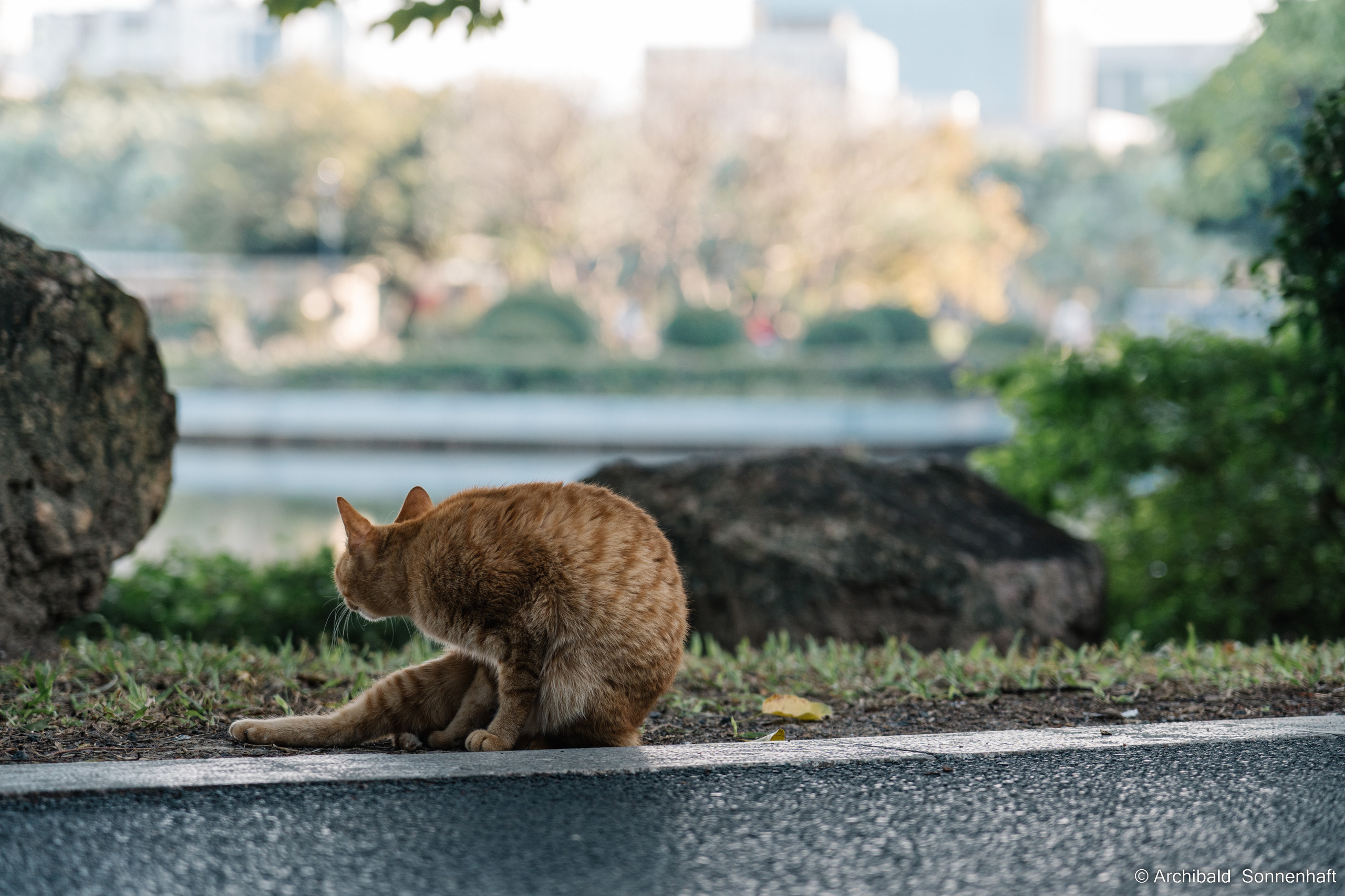 Guangzhou 18. Photographer in Guangzhou, China. Archibald Sonnenhaft
