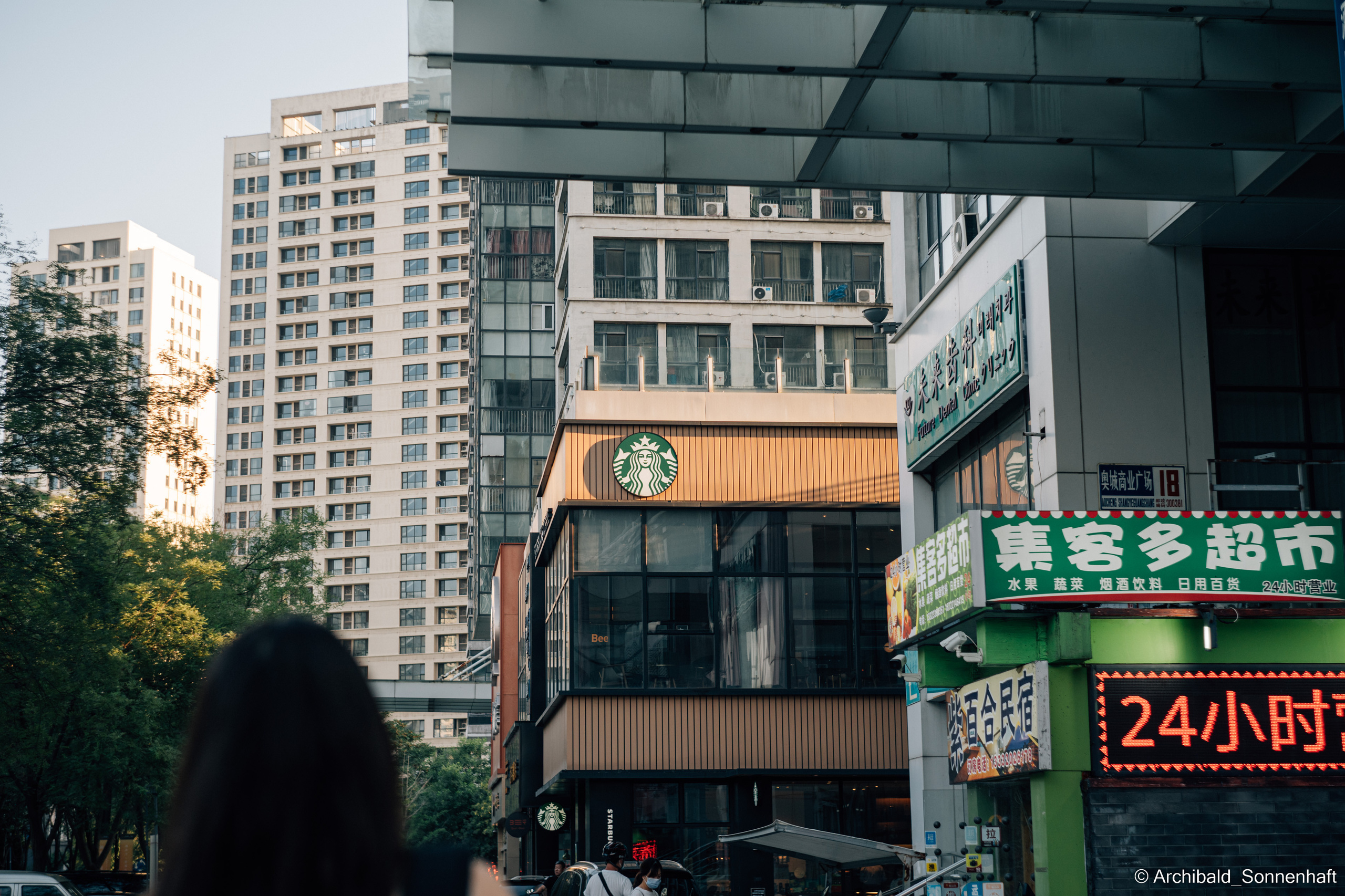 Calligraphy, Korean food and Black swans. Photographer in Guangzhou, China. Archibald Sonnenhaft