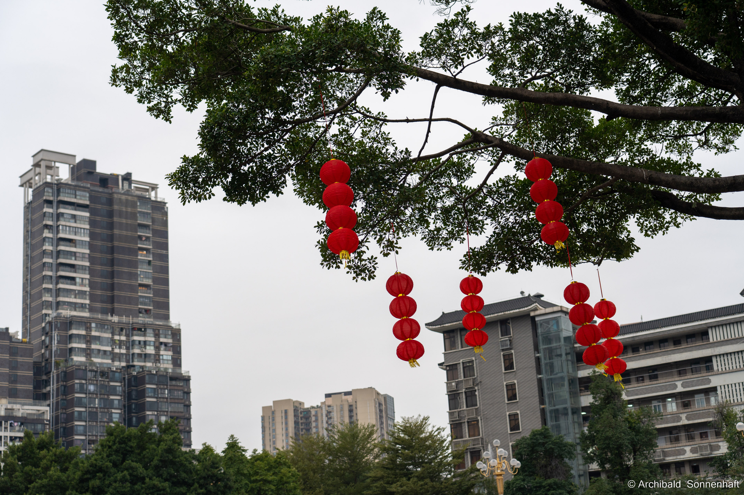 Clan Cheng and ShengJianBao. Photographer in Guangzhou, China. Archibald Sonnenhaft