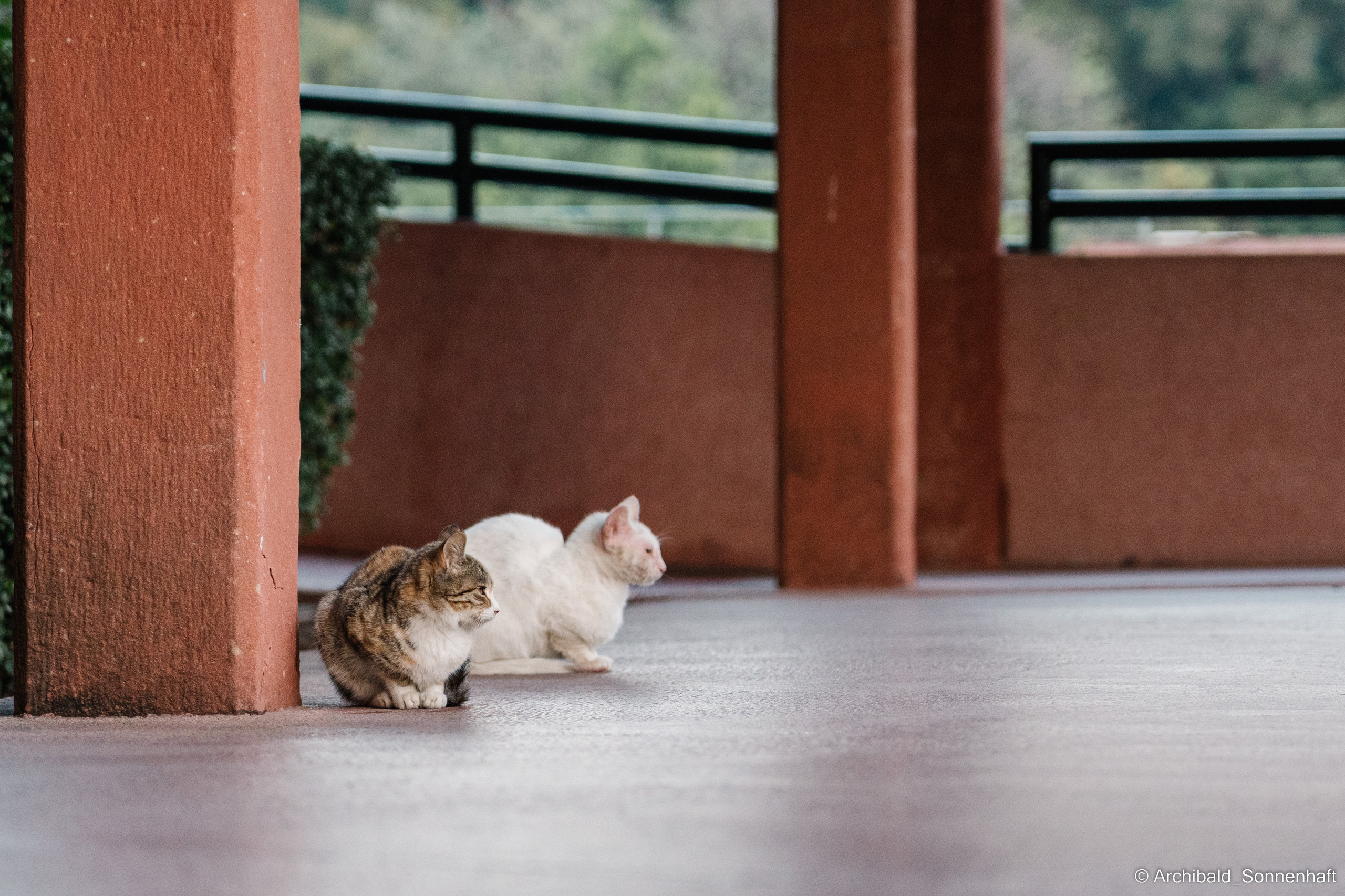 NanYueWang‘s museum. Photographer in Guangzhou, China. Archibald Sonnenhaft