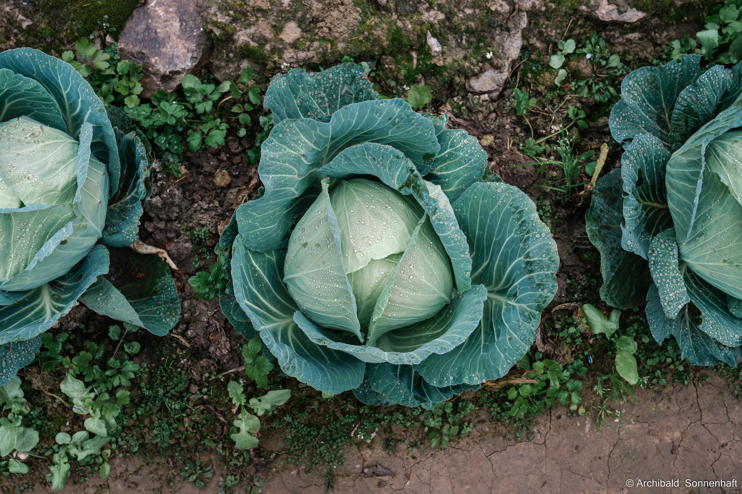 YangShuo2. Photographer in Guangzhou, China. Archibald Sonnenhaft