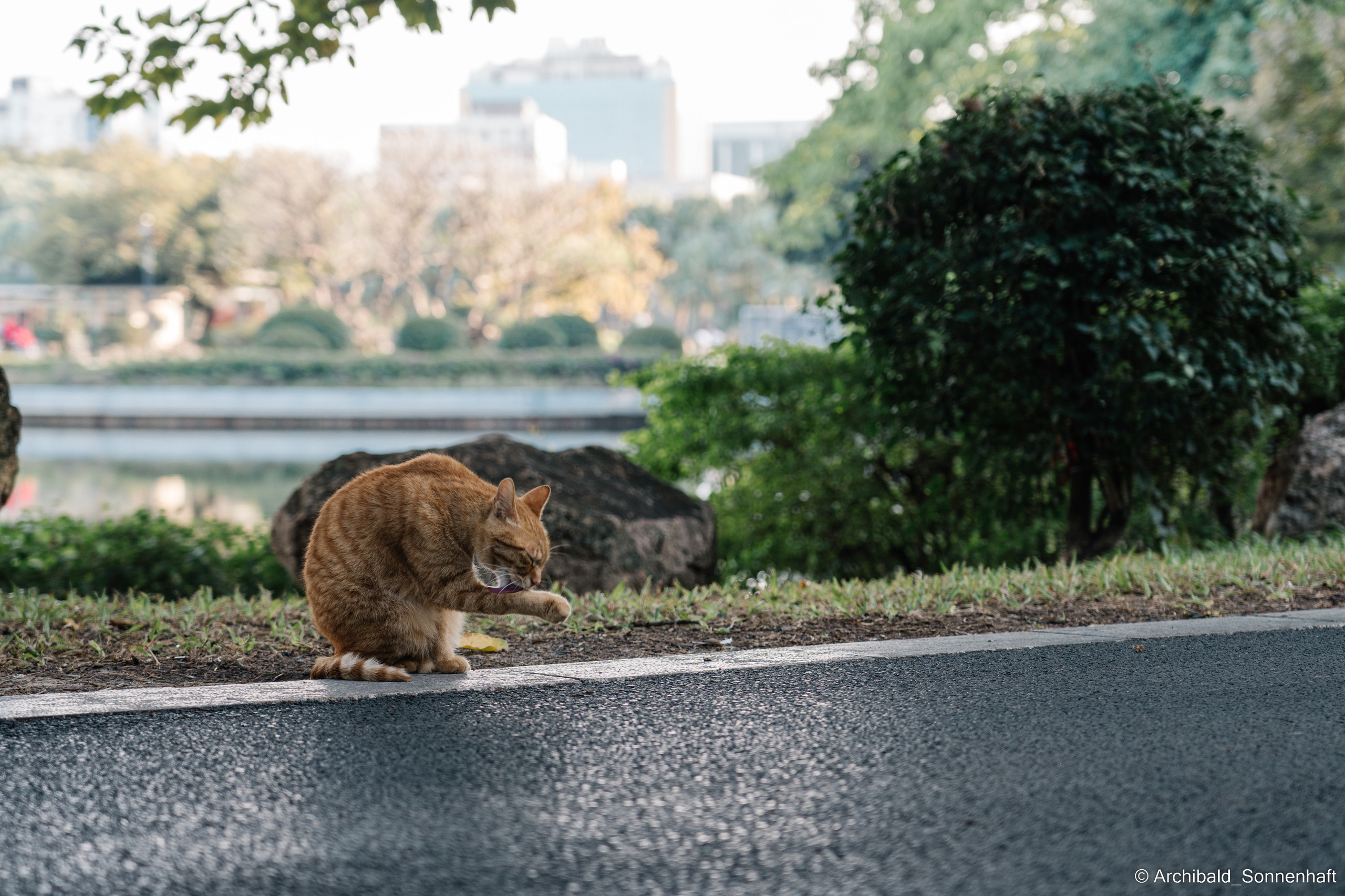 Guangzhou 18. Photographer in Guangzhou, China. Archibald Sonnenhaft