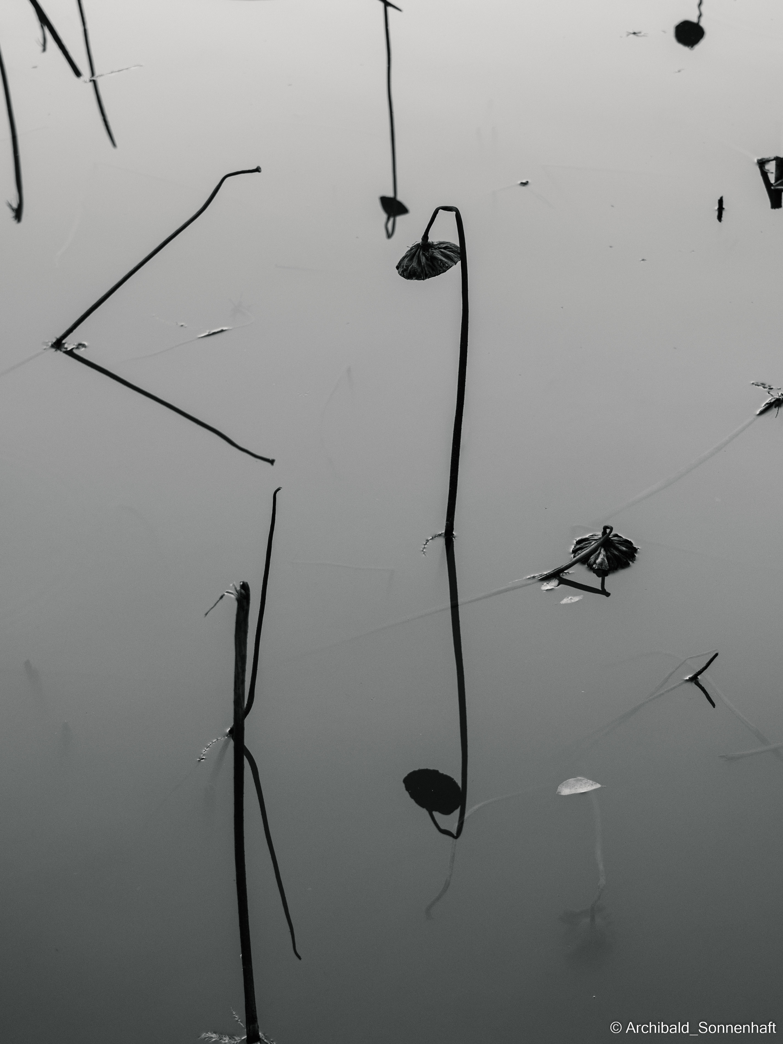 Guangzhou 18. Photographer in Guangzhou, China. Archibald Sonnenhaft