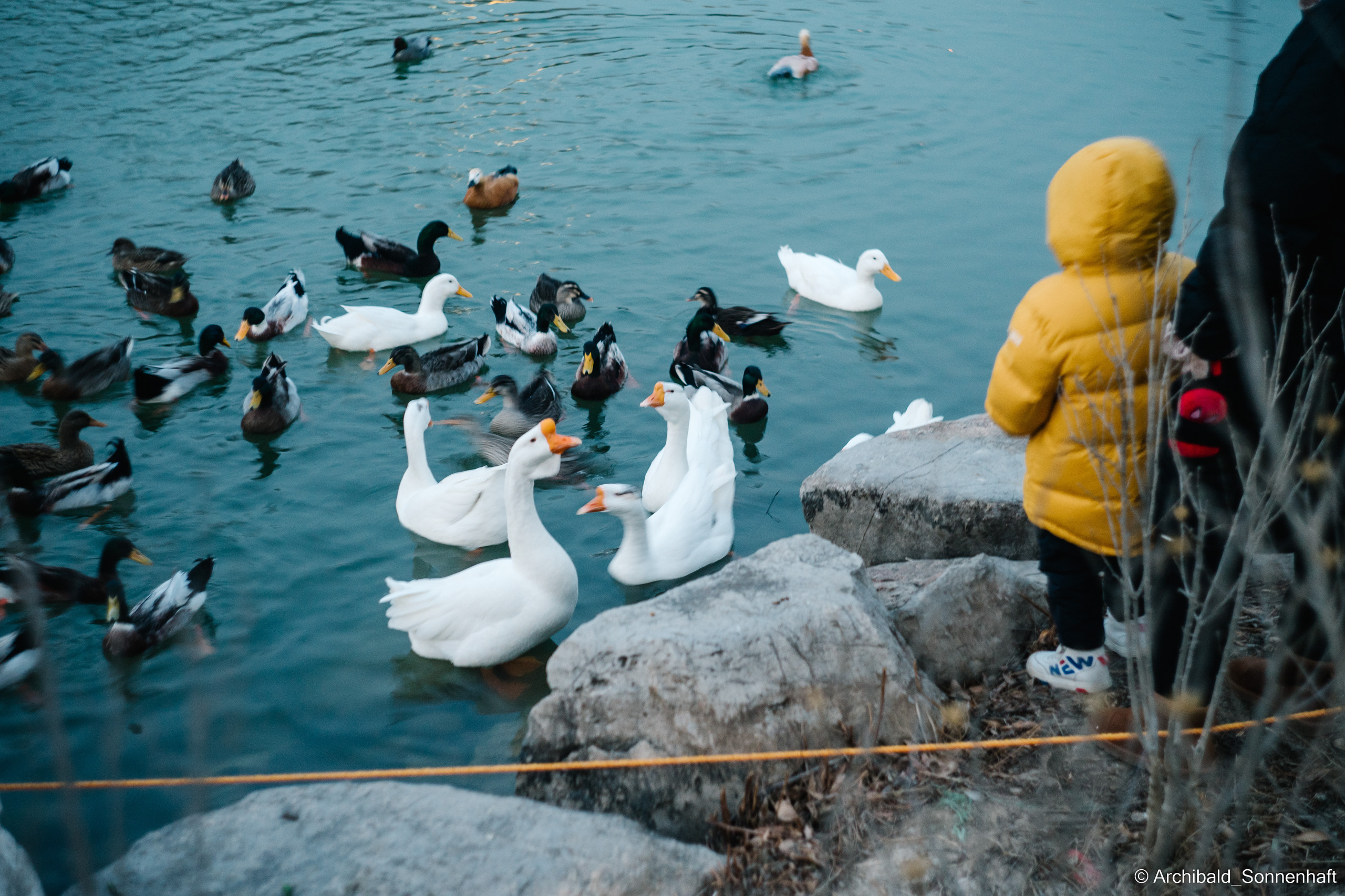 水上公园. Photographer in Guangzhou, China. Archibald Sonnenhaft