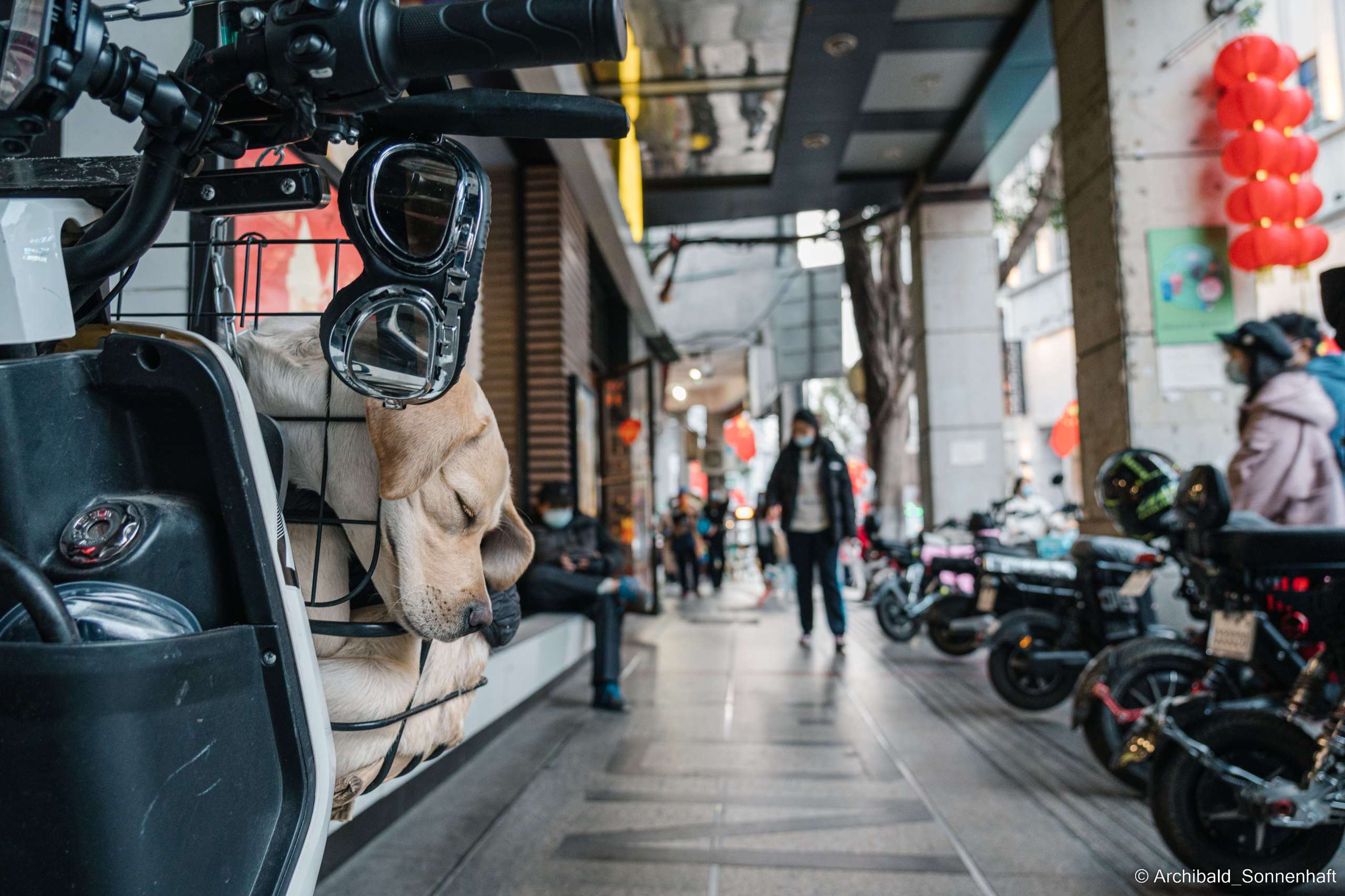 Guangzhou #0225. Photographer in Guangzhou, China. Archibald Sonnenhaft