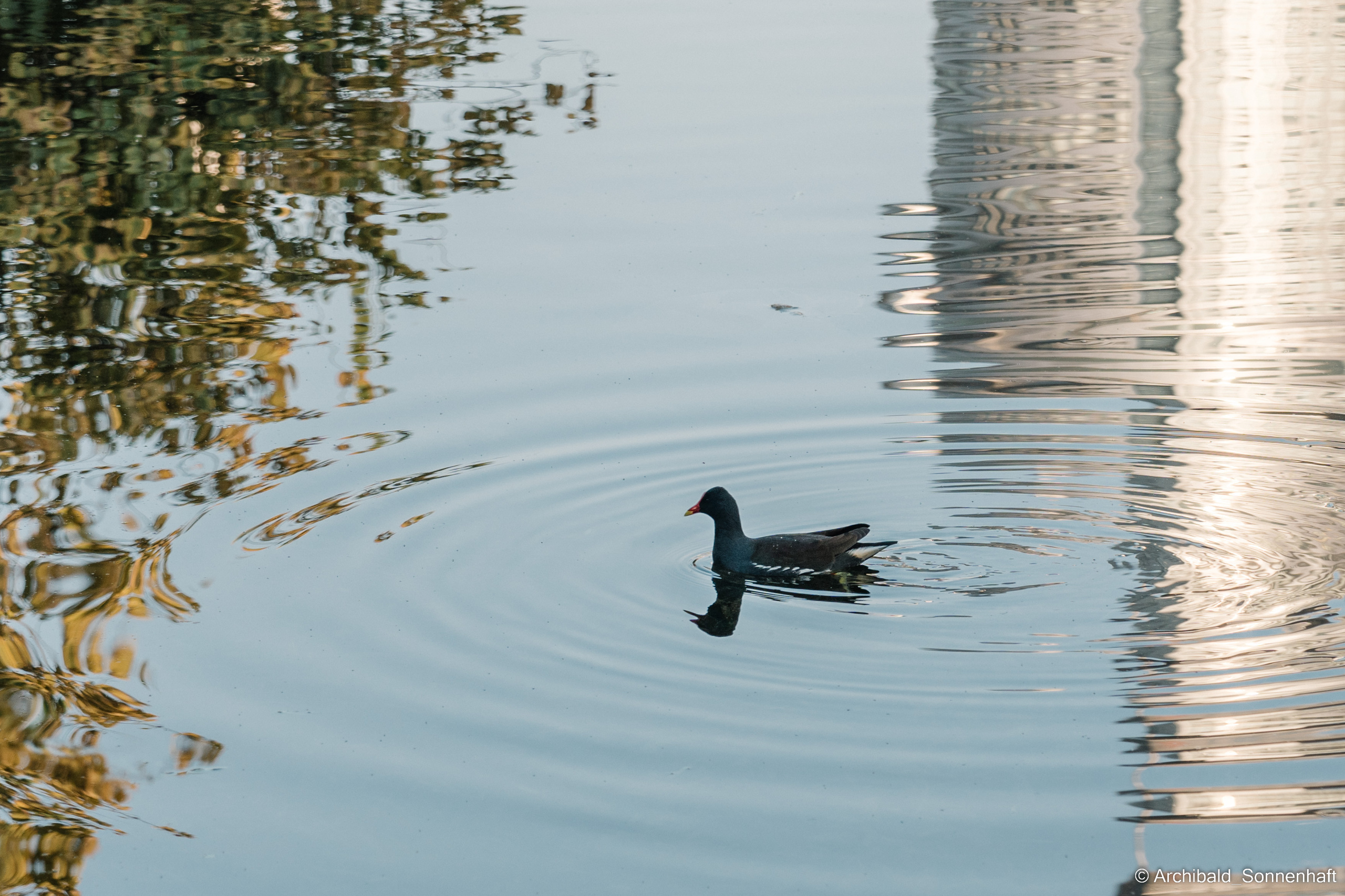 Guangzhou 18. Photographer in Guangzhou, China. Archibald Sonnenhaft