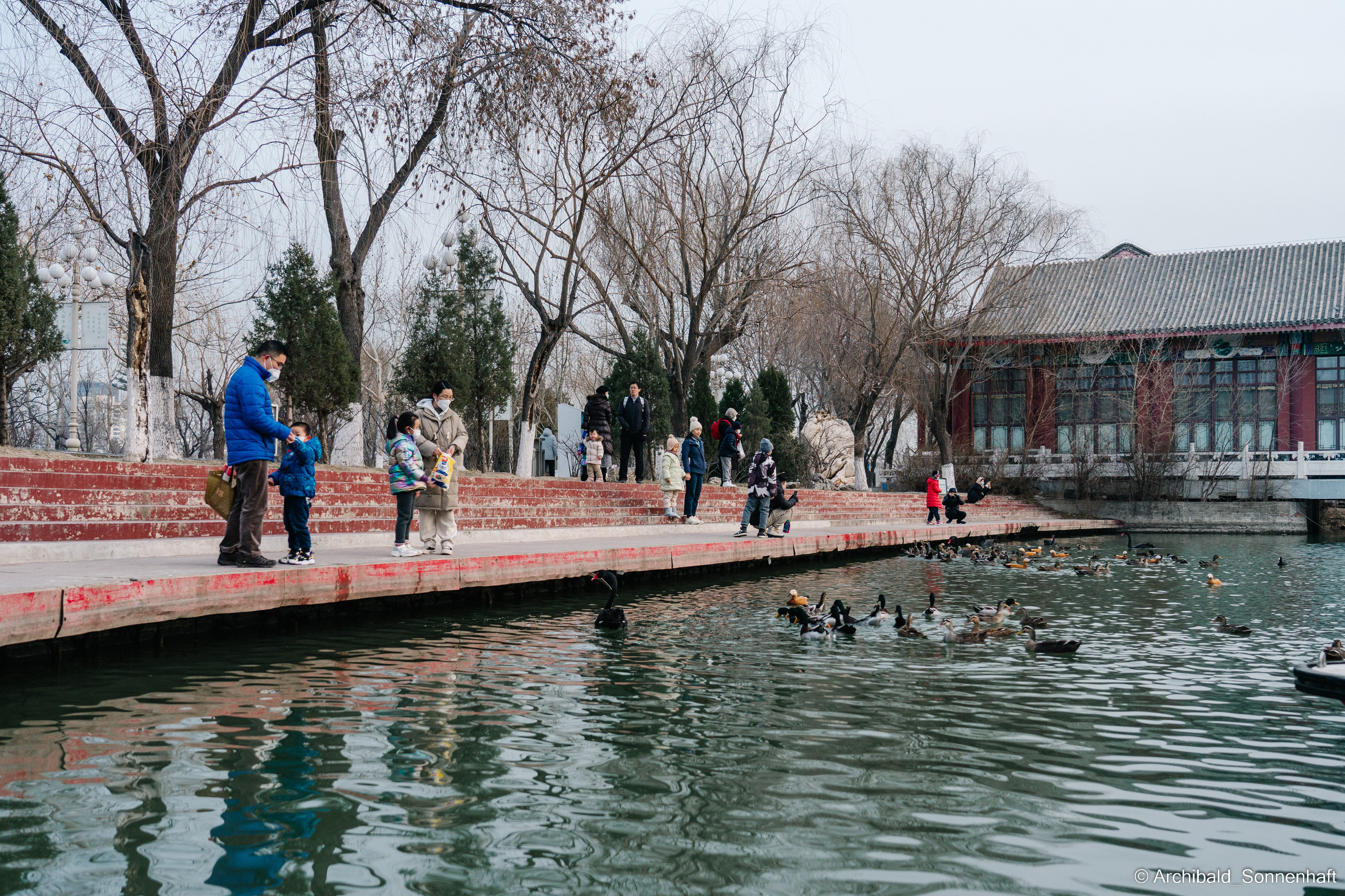 水上公园. Photographer in Guangzhou, China. Archibald Sonnenhaft