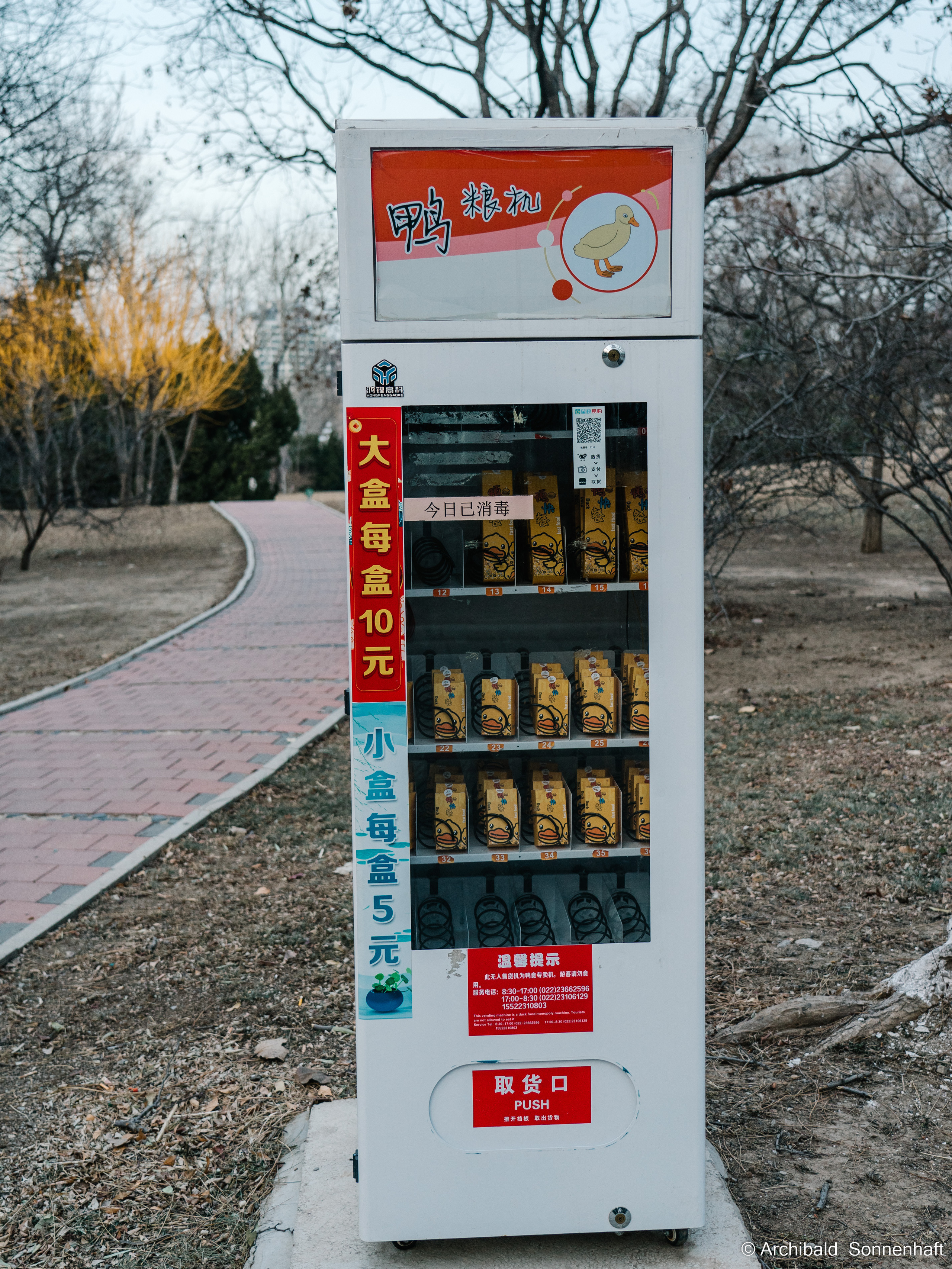 水上公园. Photographer in Guangzhou, China. Archibald Sonnenhaft