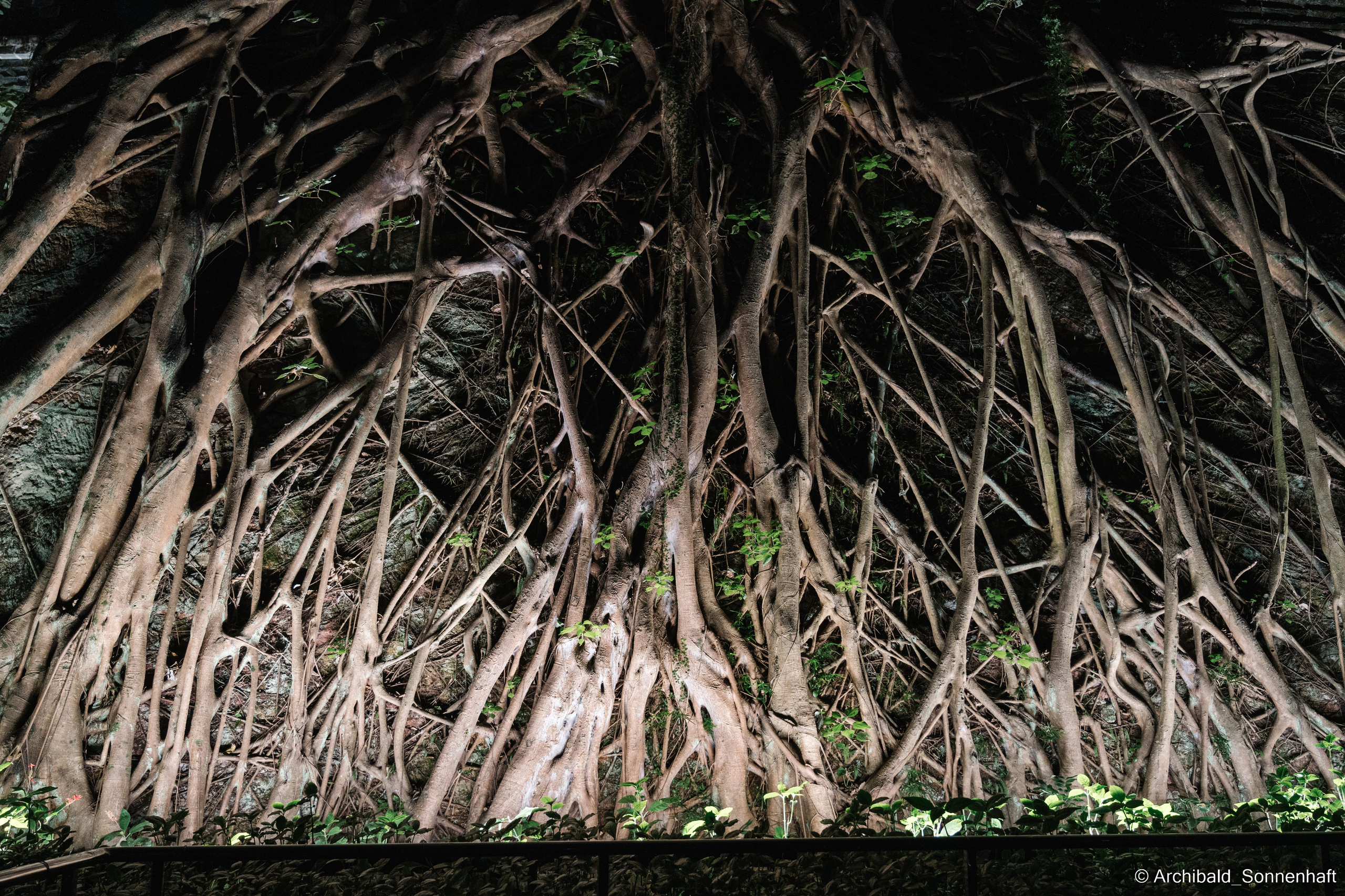 NanYueWang‘s museum. Photographer in Guangzhou, China. Archibald Sonnenhaft