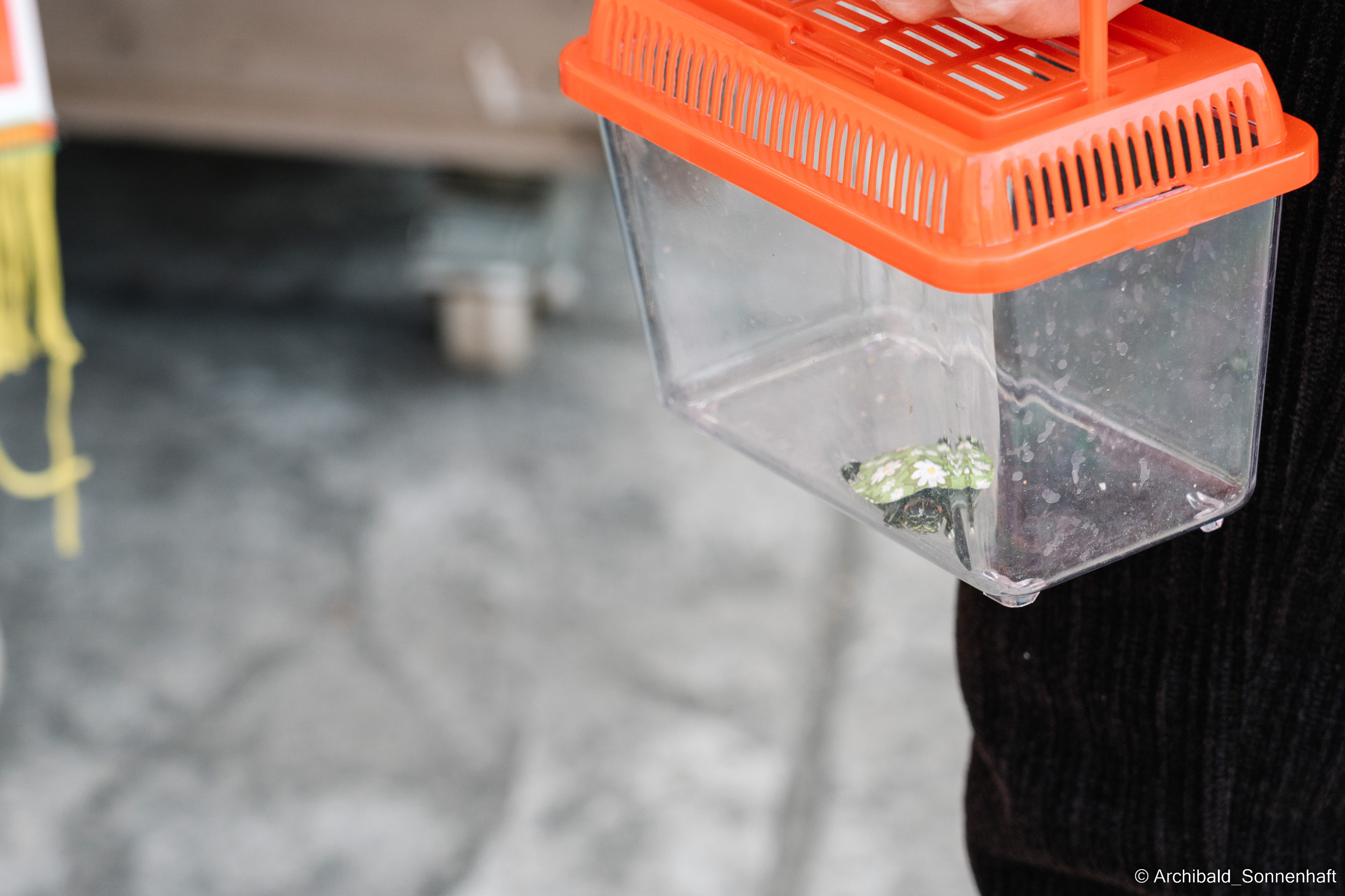 NewSpring. Photographer in Guangzhou, China. Archibald Sonnenhaft